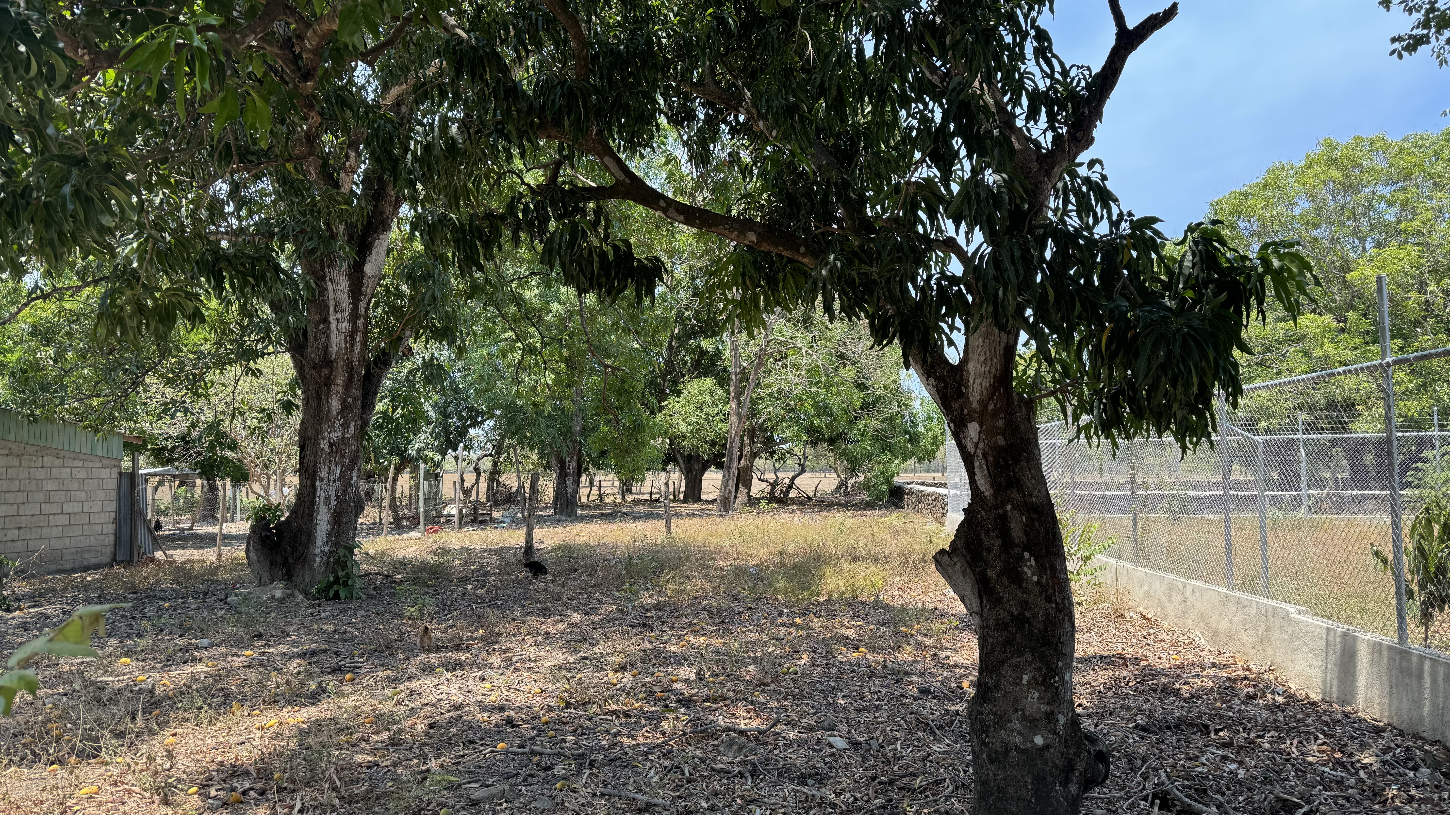 0 bed Land For Sale in Liberia, Guanacaste - thumb 4