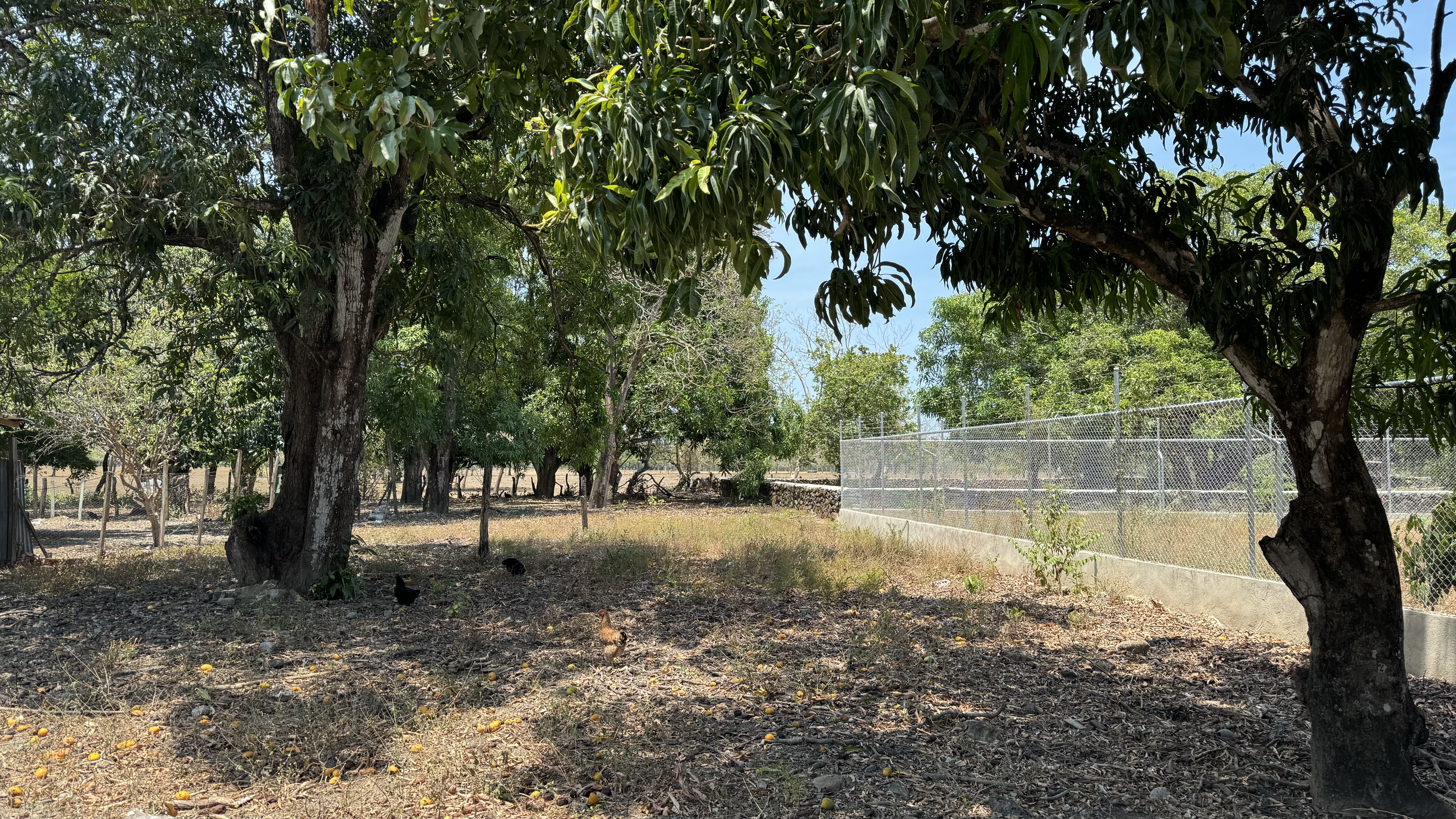 0 bed Land For Sale in Liberia, Guanacaste - thumb 5