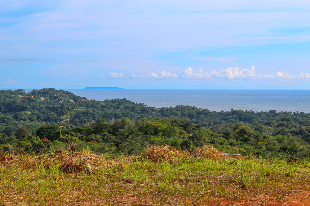 0 bed Land For Sale in Ojochal, Puntarenas - thumb 4