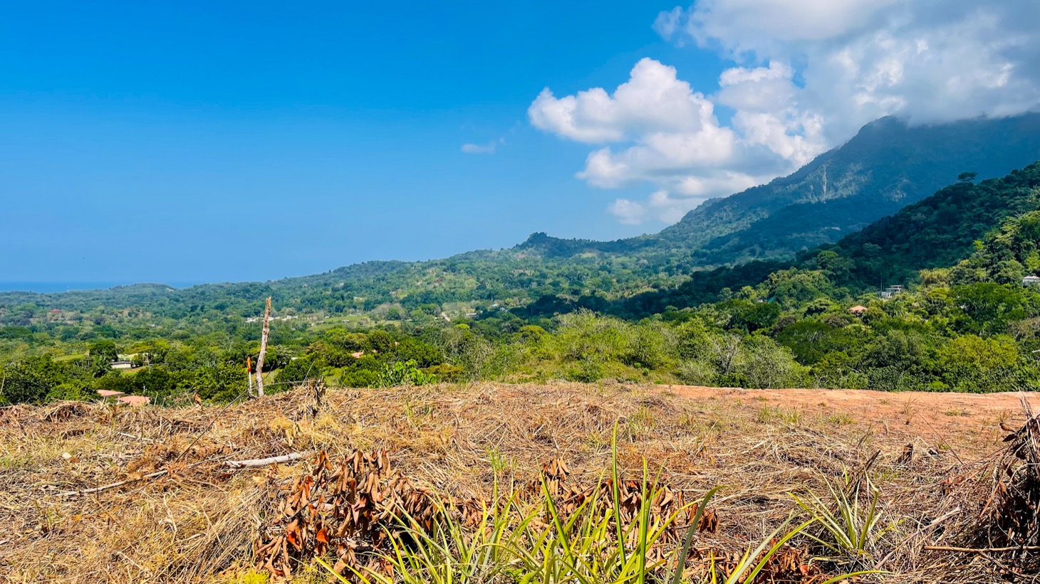 0 bed Land For Sale in Ojochal, Puntarenas - thumb 10