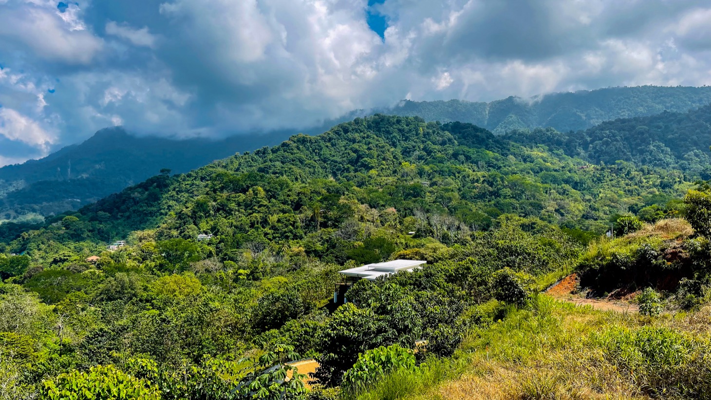 0 bed Land For Sale in Ojochal, Puntarenas - thumb 9