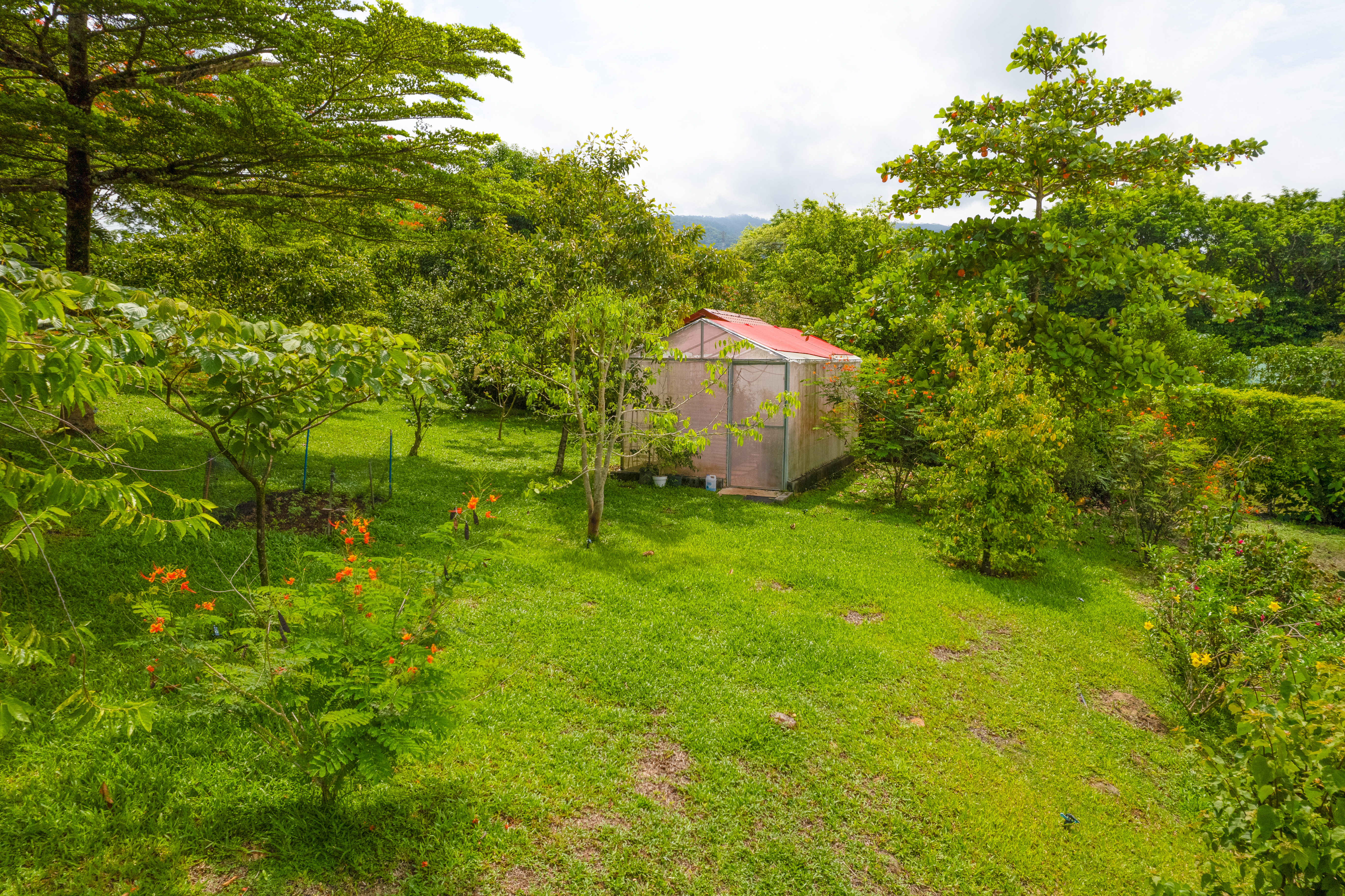 5 bed Single Family Homes For Sale in Turrubares, San Jose - thumb 28