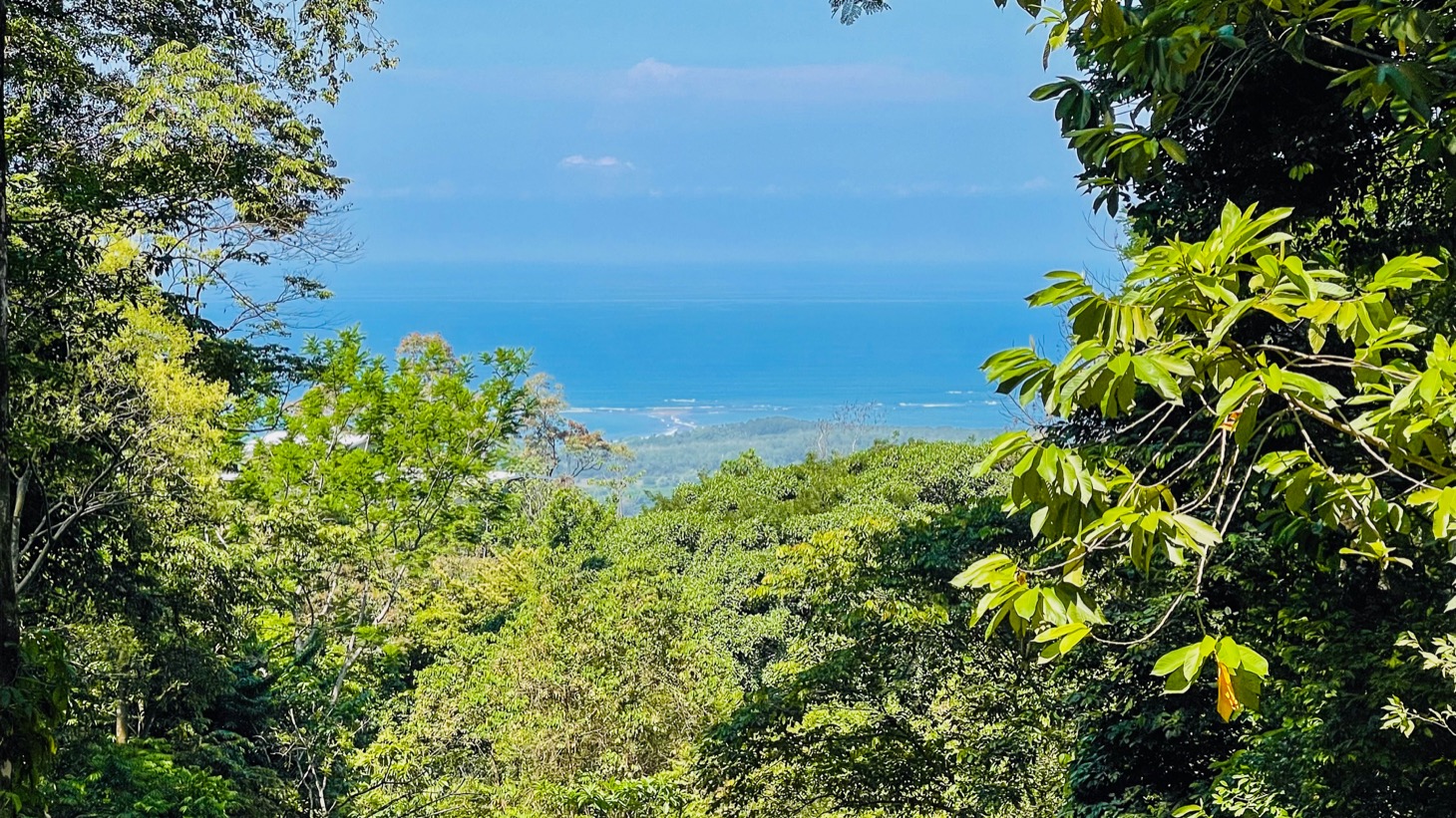 2 bed Single Family Homes For Sale in Uvita, Puntarenas - thumb 2