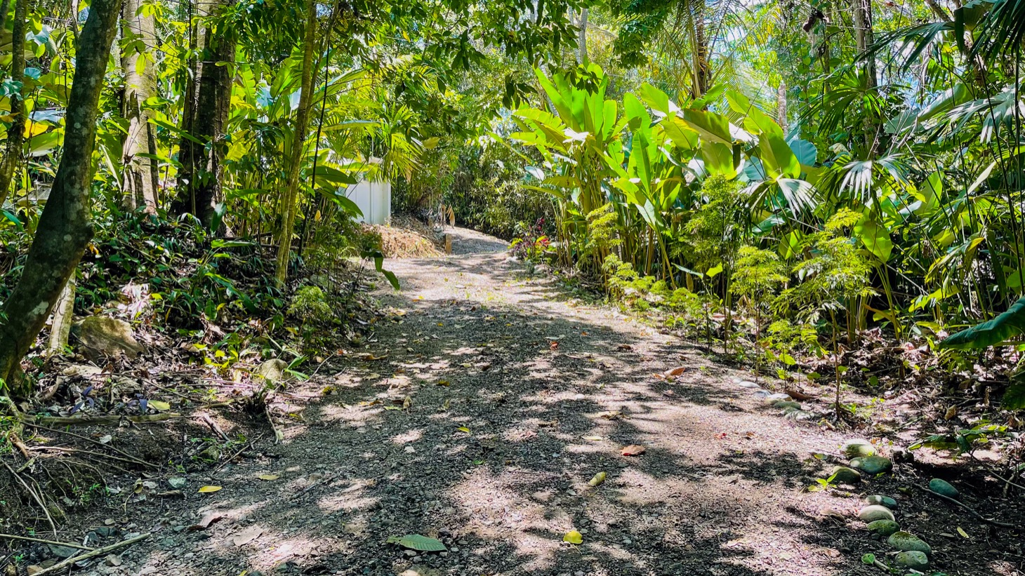 2 bed Single Family Homes For Sale in Uvita, Puntarenas - thumb 29