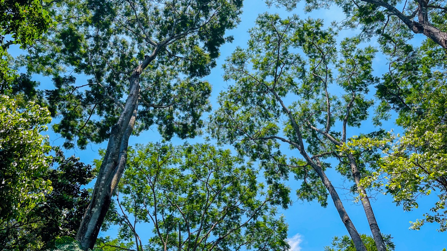 2 bed Single Family Homes For Sale in Uvita, Puntarenas - thumb 23