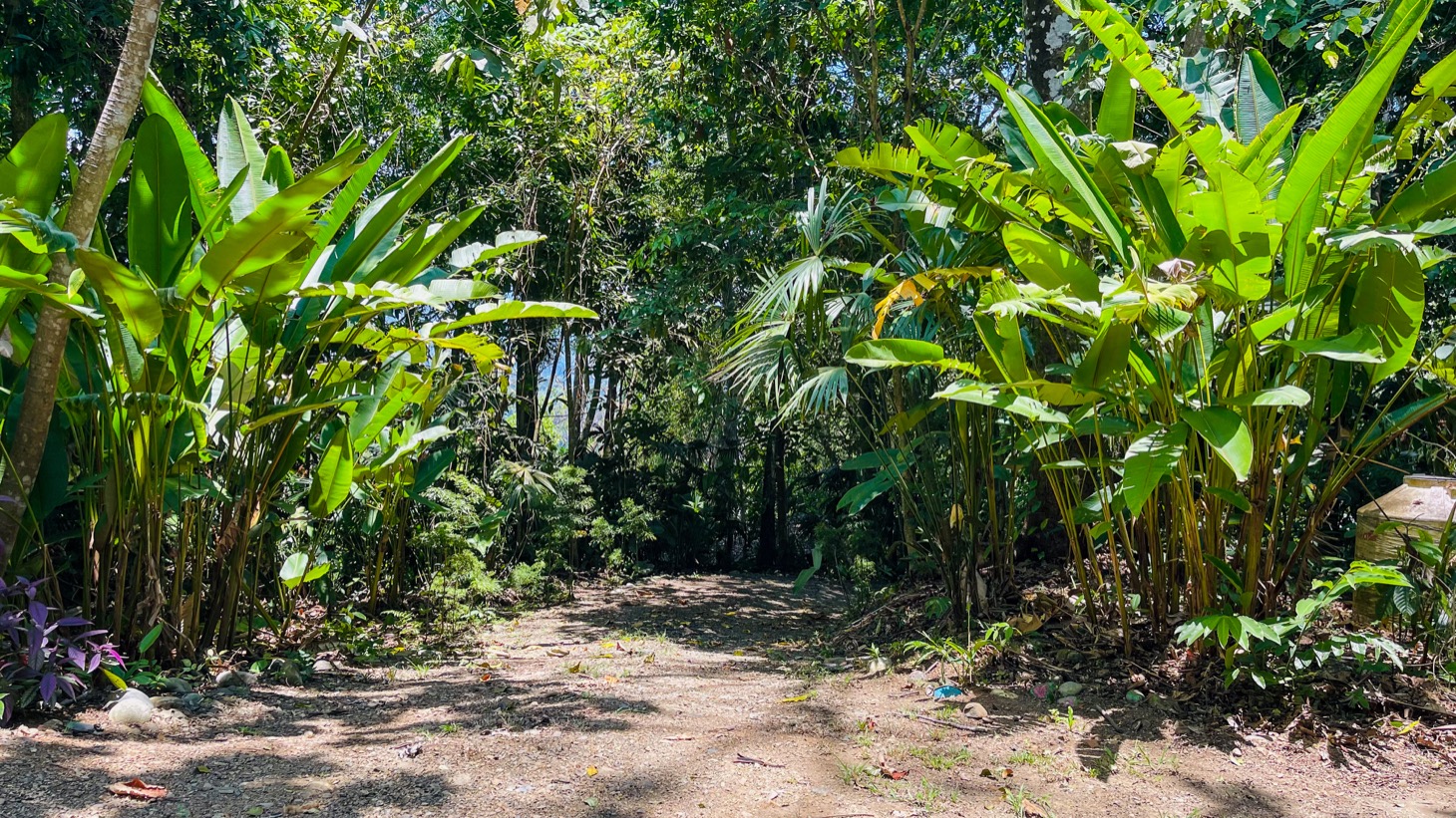 2 bed Single Family Homes For Sale in Uvita, Puntarenas - thumb 30