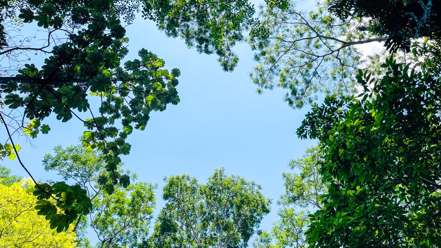 2 bed Single Family Homes For Sale in Uvita, Puntarenas - thumb 25