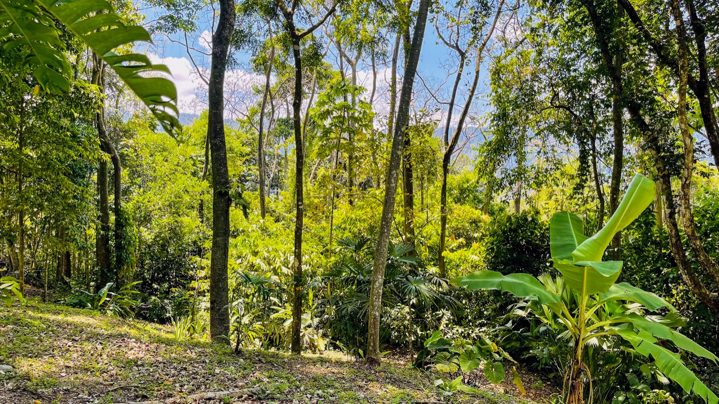 2 bed Single Family Homes For Sale in Uvita, Puntarenas - thumb 22