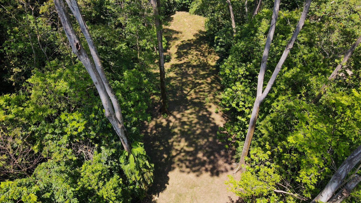 2 bed Single Family Homes For Sale in Uvita, Puntarenas - thumb 27