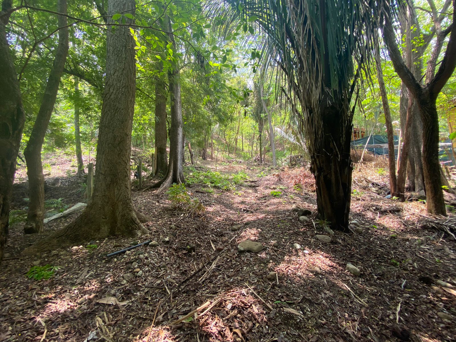 0 bed Land For Sale in Santa Teresa, Puntarenas - thumb 3