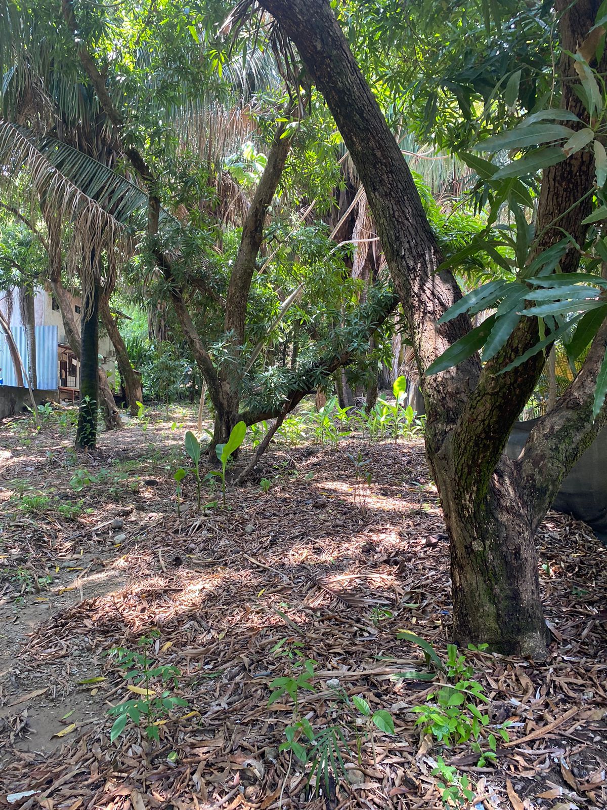 0 bed Land For Sale in Santa Teresa, Puntarenas - thumb 4