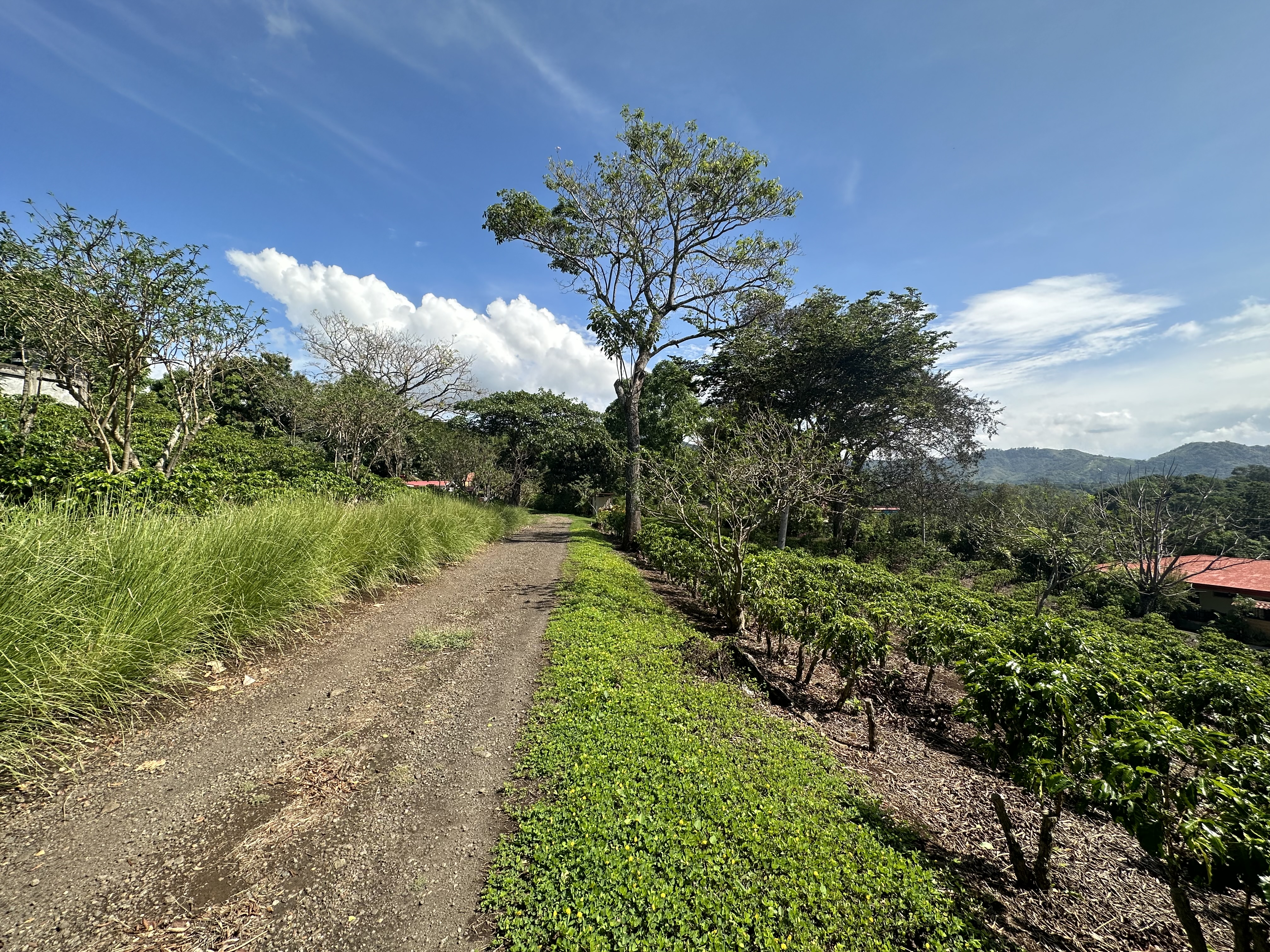 0 bed Land For Sale in Atenas, Alajuela - thumb 15