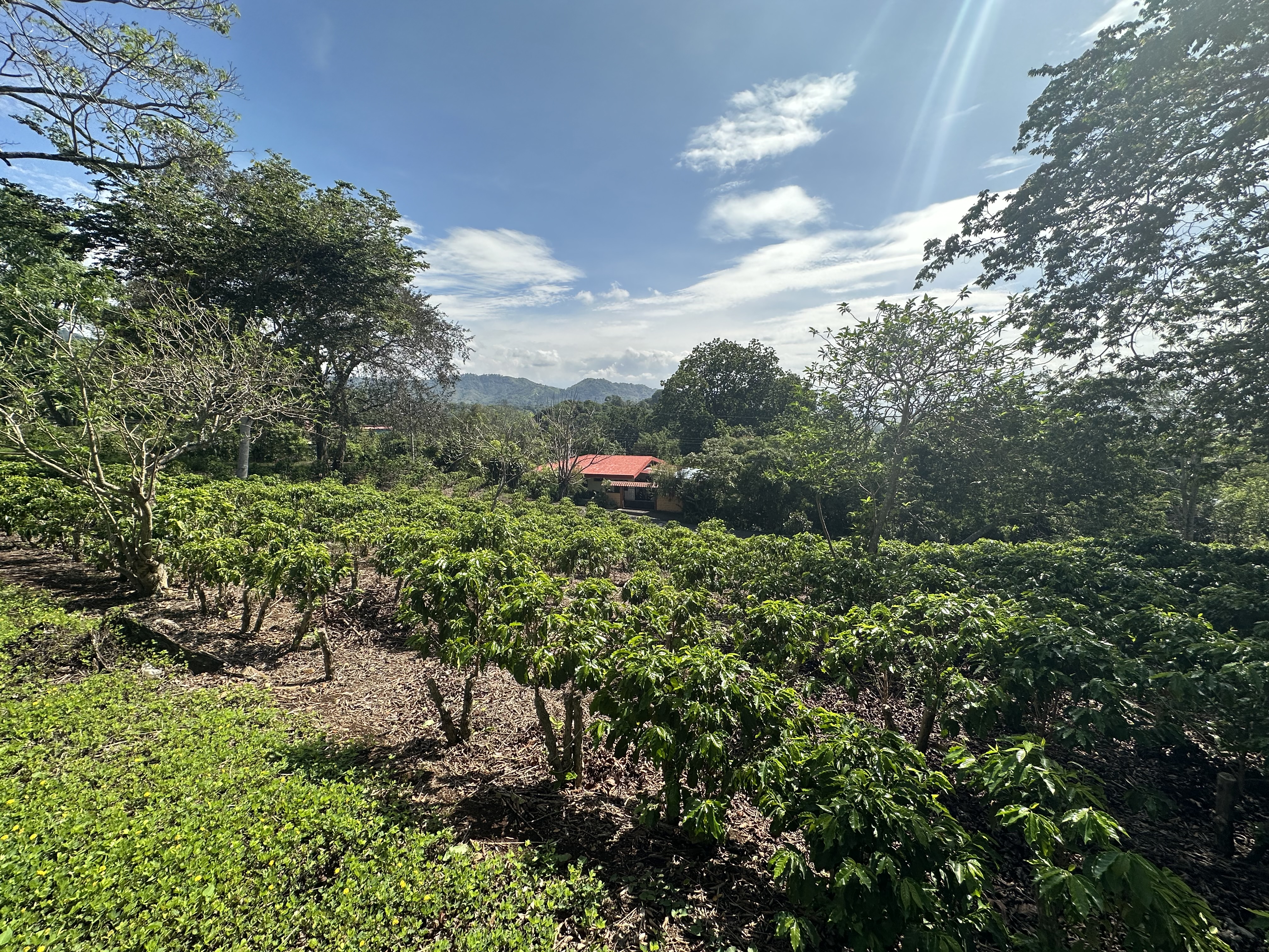 0 bed Land For Sale in Atenas, Alajuela - thumb 1