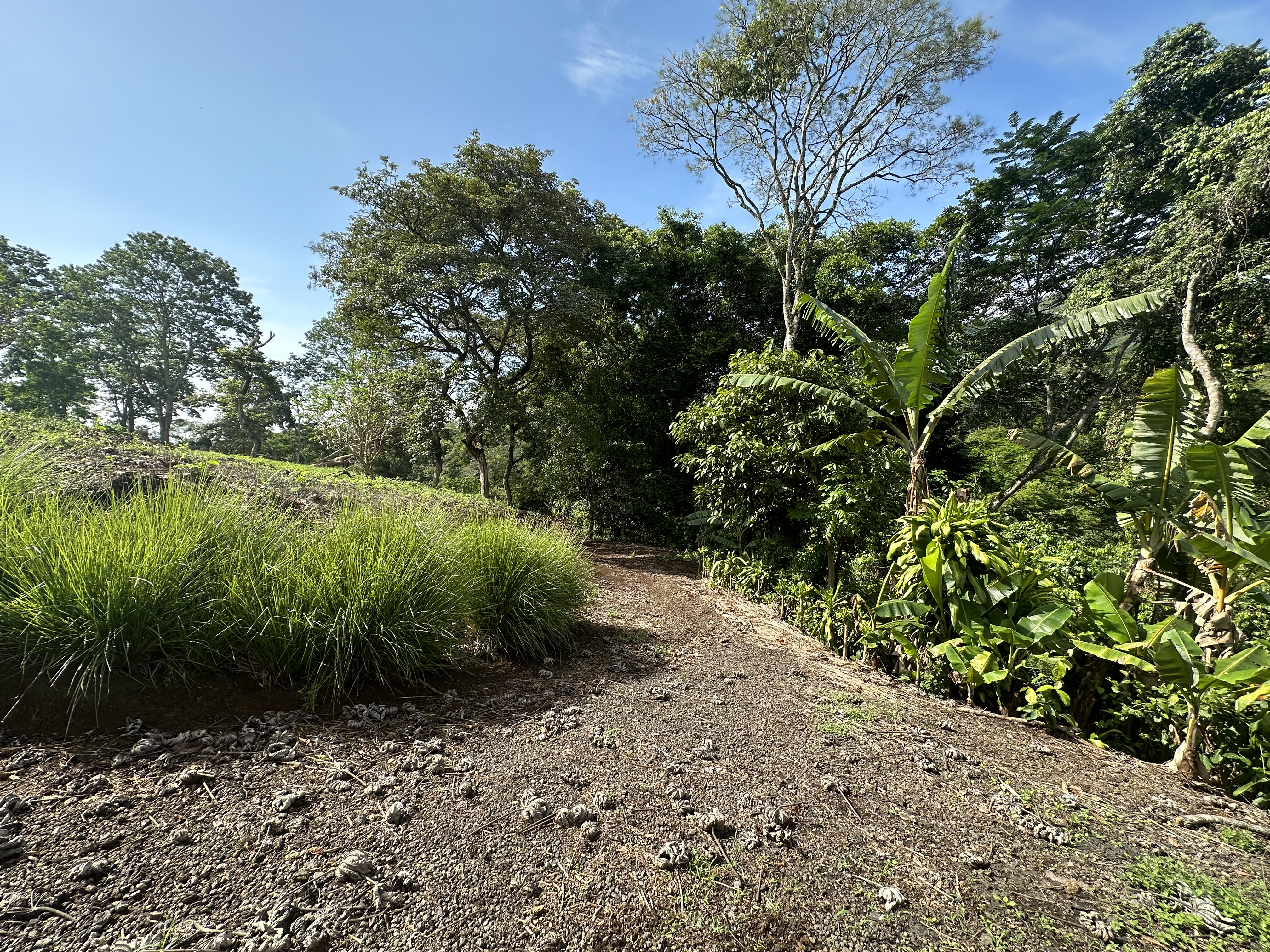 0 bed Land For Sale in Atenas, Alajuela - thumb 6