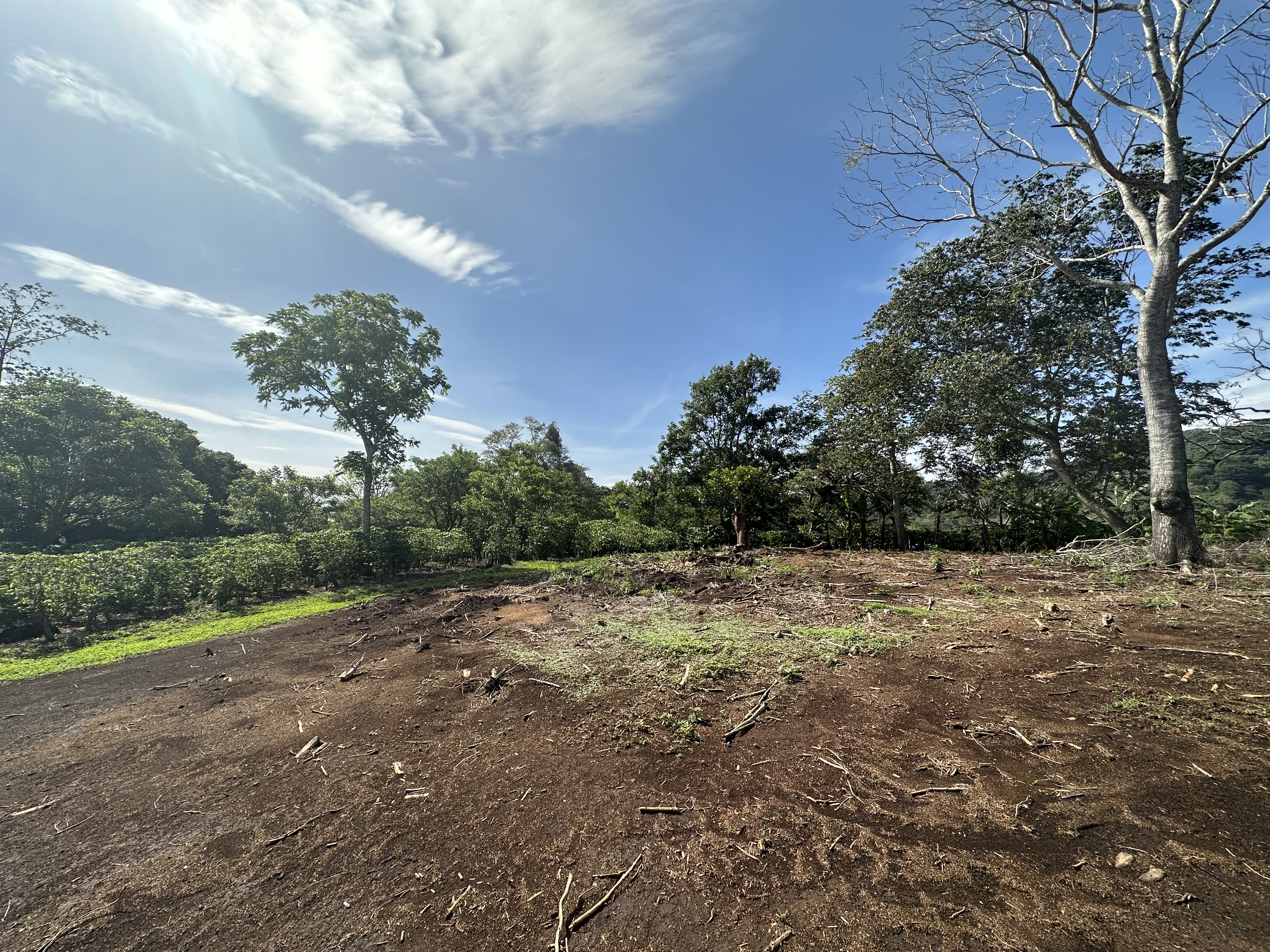 0 bed Land For Sale in Atenas, Alajuela - thumb 12