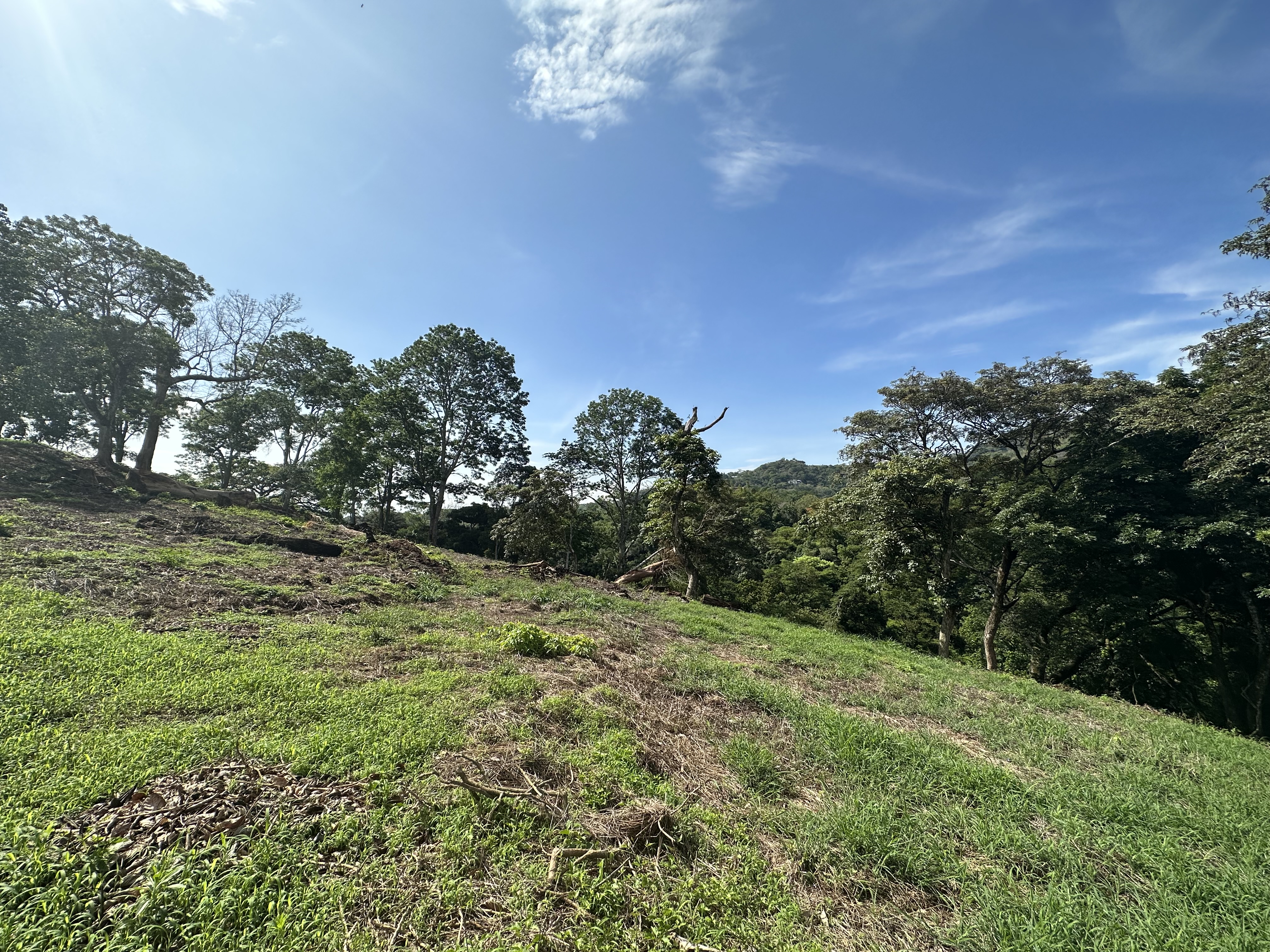 0 bed Land For Sale in Atenas, Alajuela - thumb 7