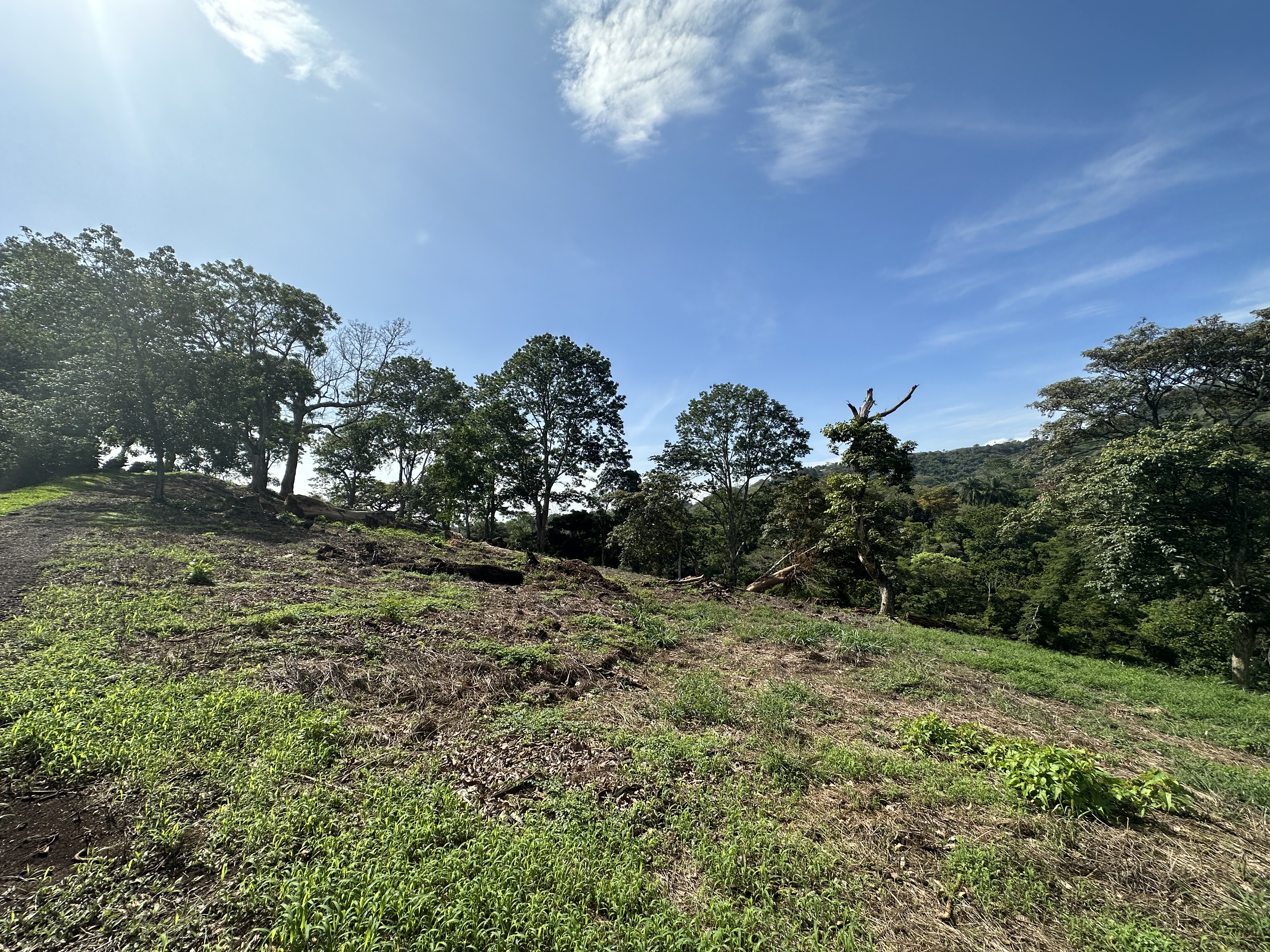 0 bed Land For Sale in Atenas, Alajuela - thumb 8