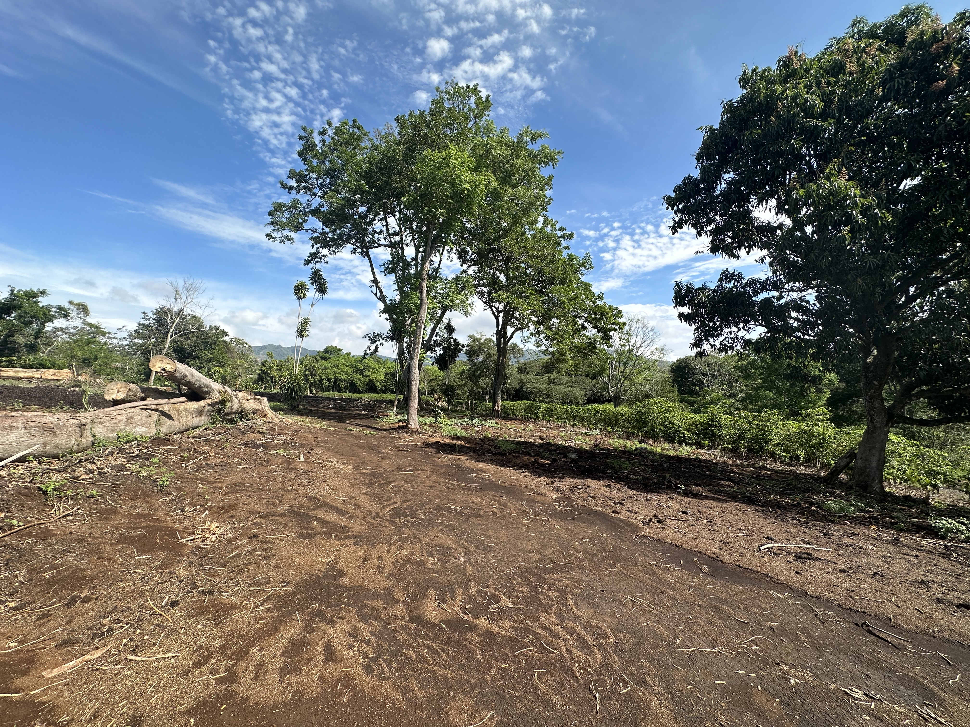 0 bed Land For Sale in Atenas, Alajuela - thumb 13