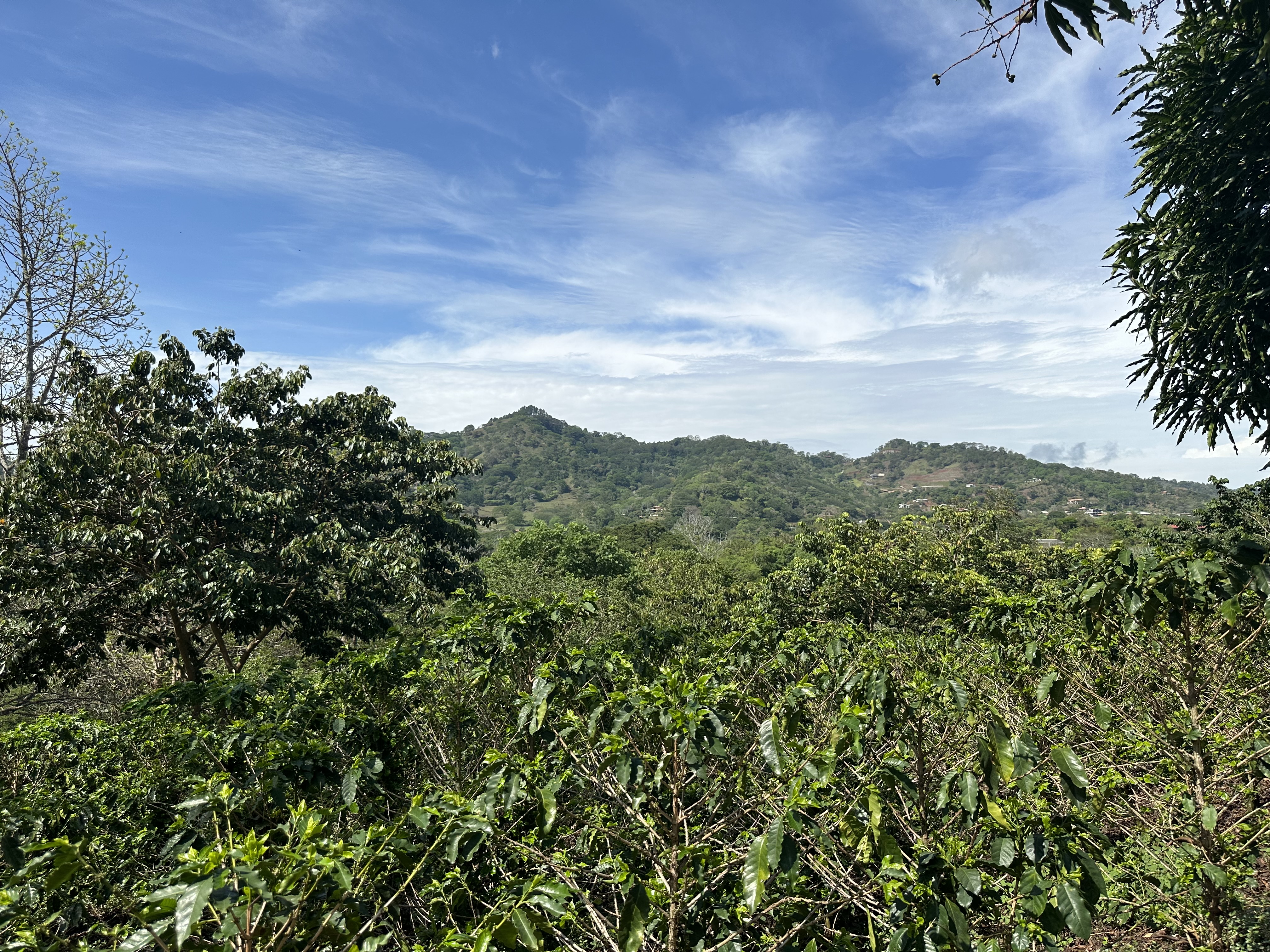 0 bed Land For Sale in Atenas, Alajuela - thumb 3