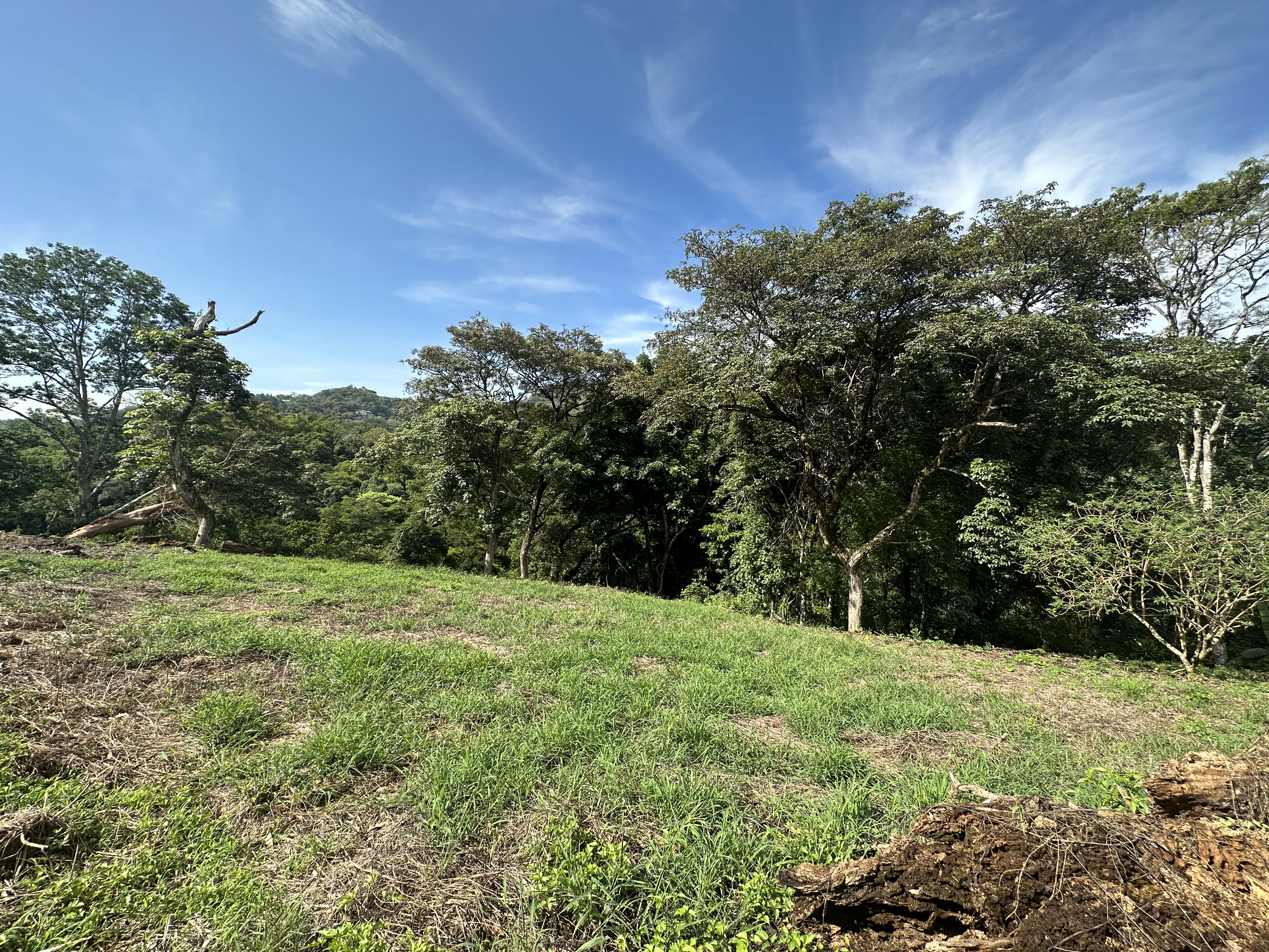 0 bed Land For Sale in Atenas, Alajuela - thumb 16
