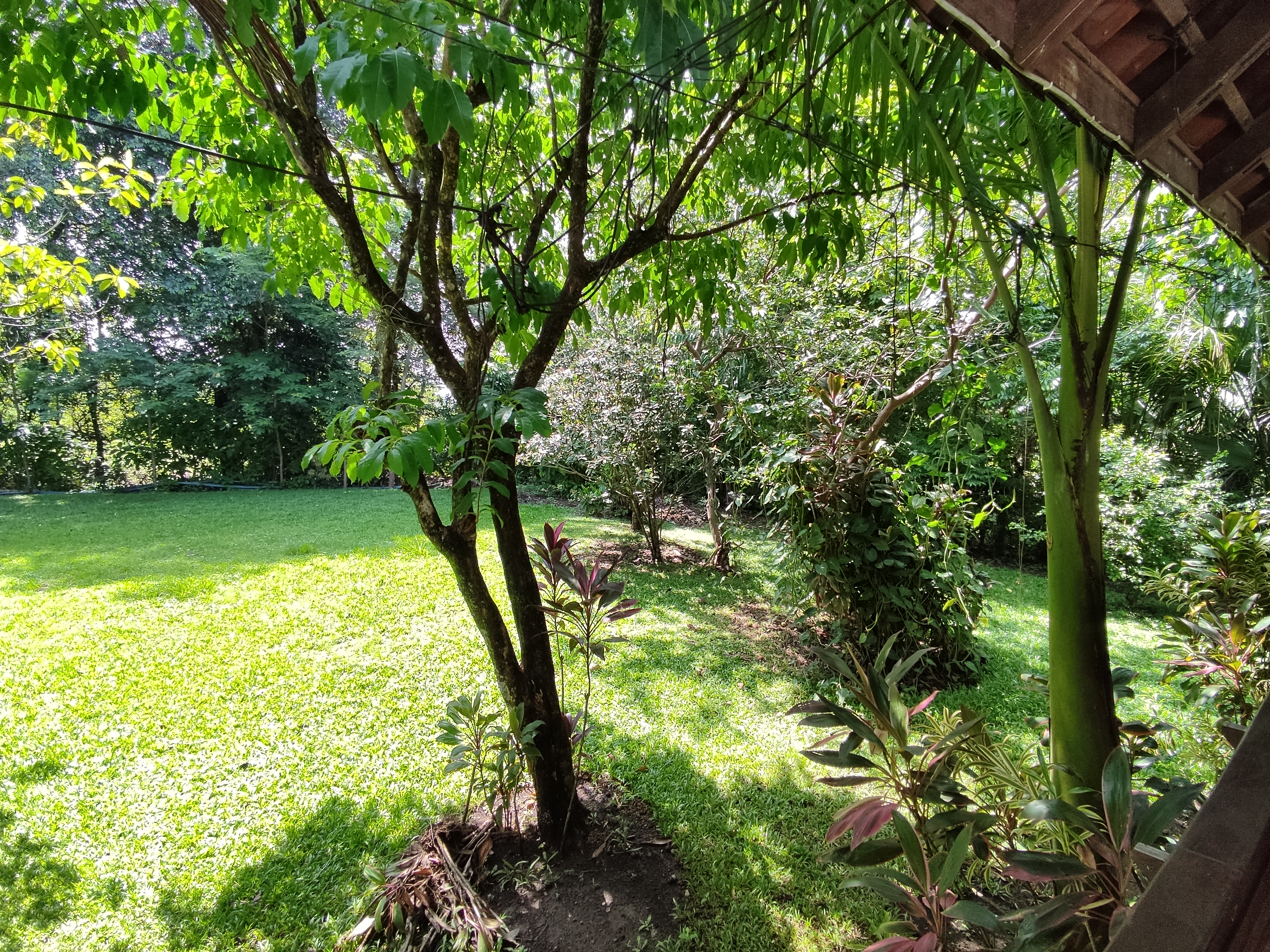 11 bed Commercial For Sale in Atenas, Alajuela - thumb 17