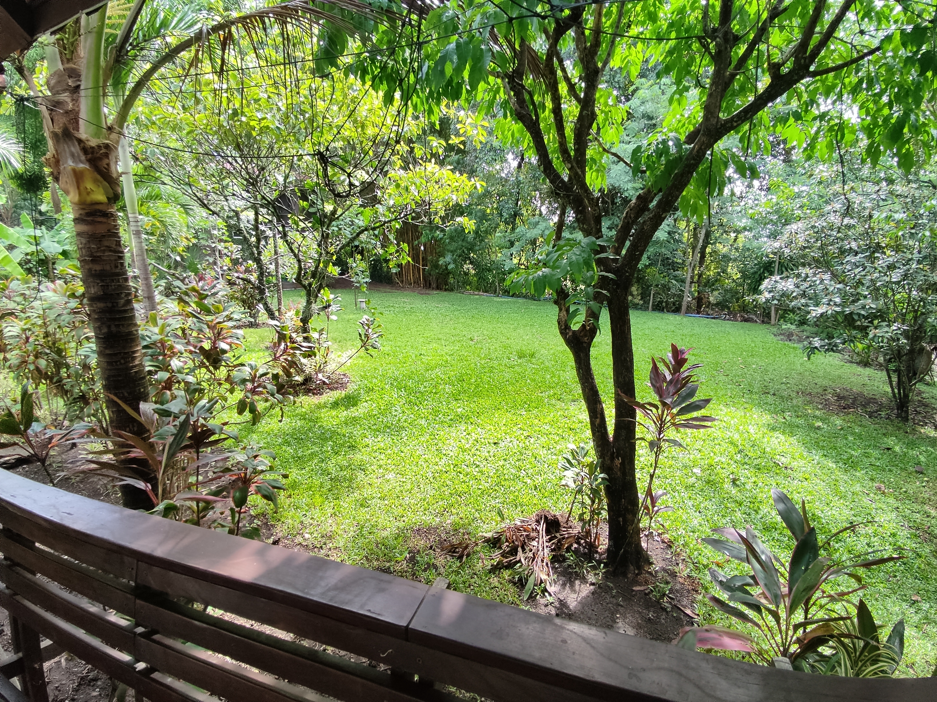 11 bed Commercial For Sale in Atenas, Alajuela - thumb 10