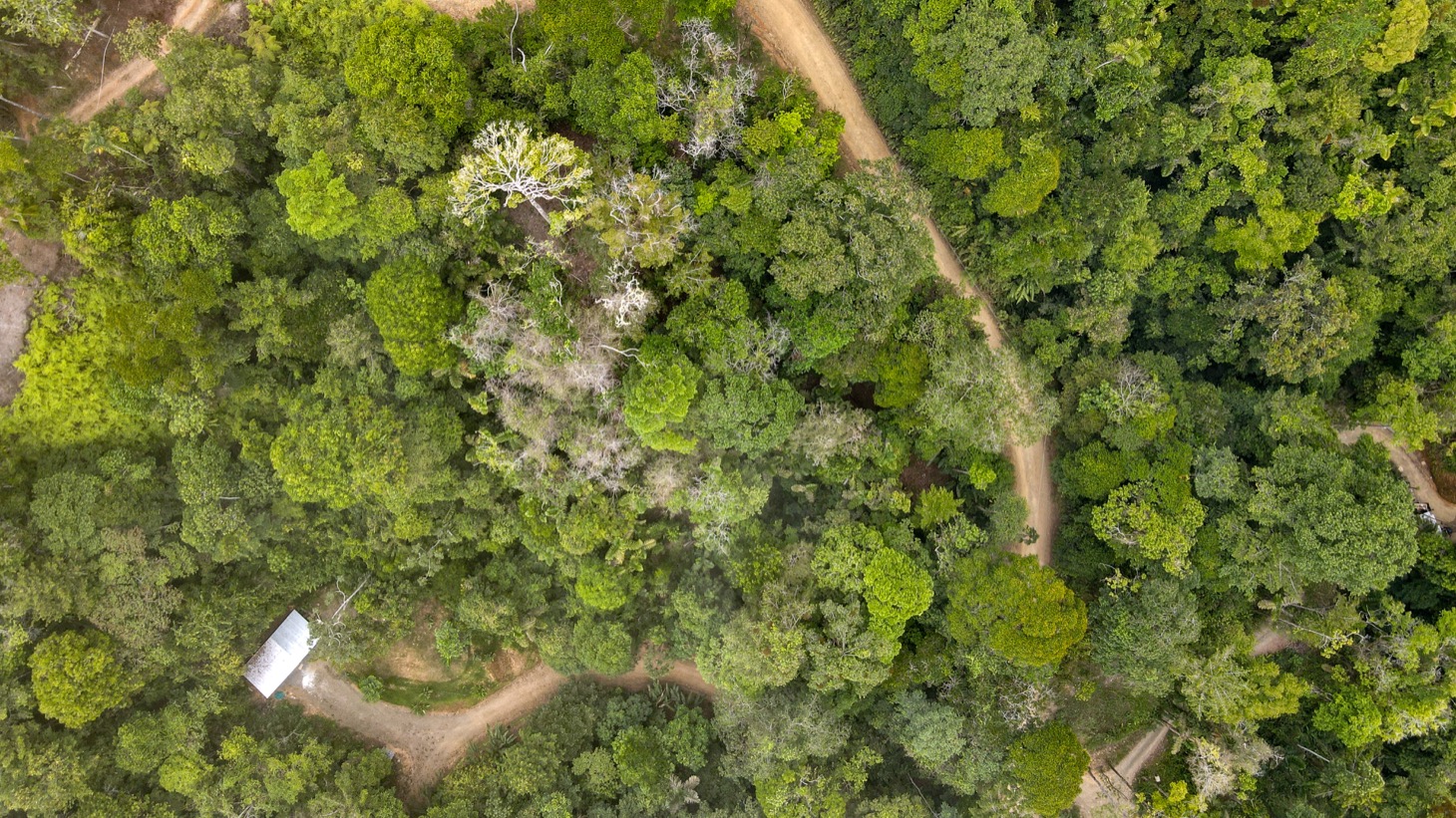 0 bed Land For Sale in Uvita, Puntarenas - thumb 2