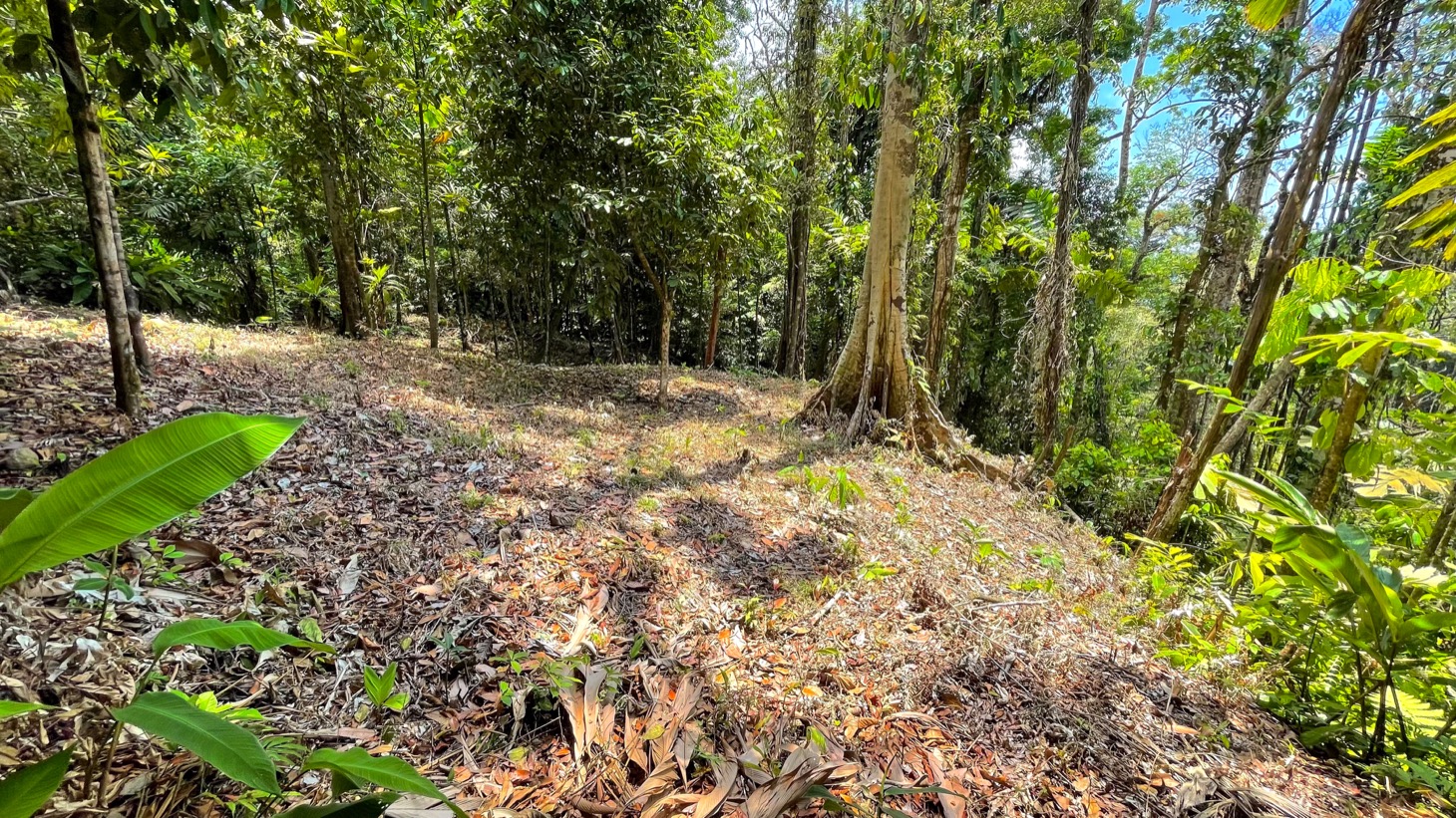 0 bed Land For Sale in Uvita, Puntarenas - thumb 1