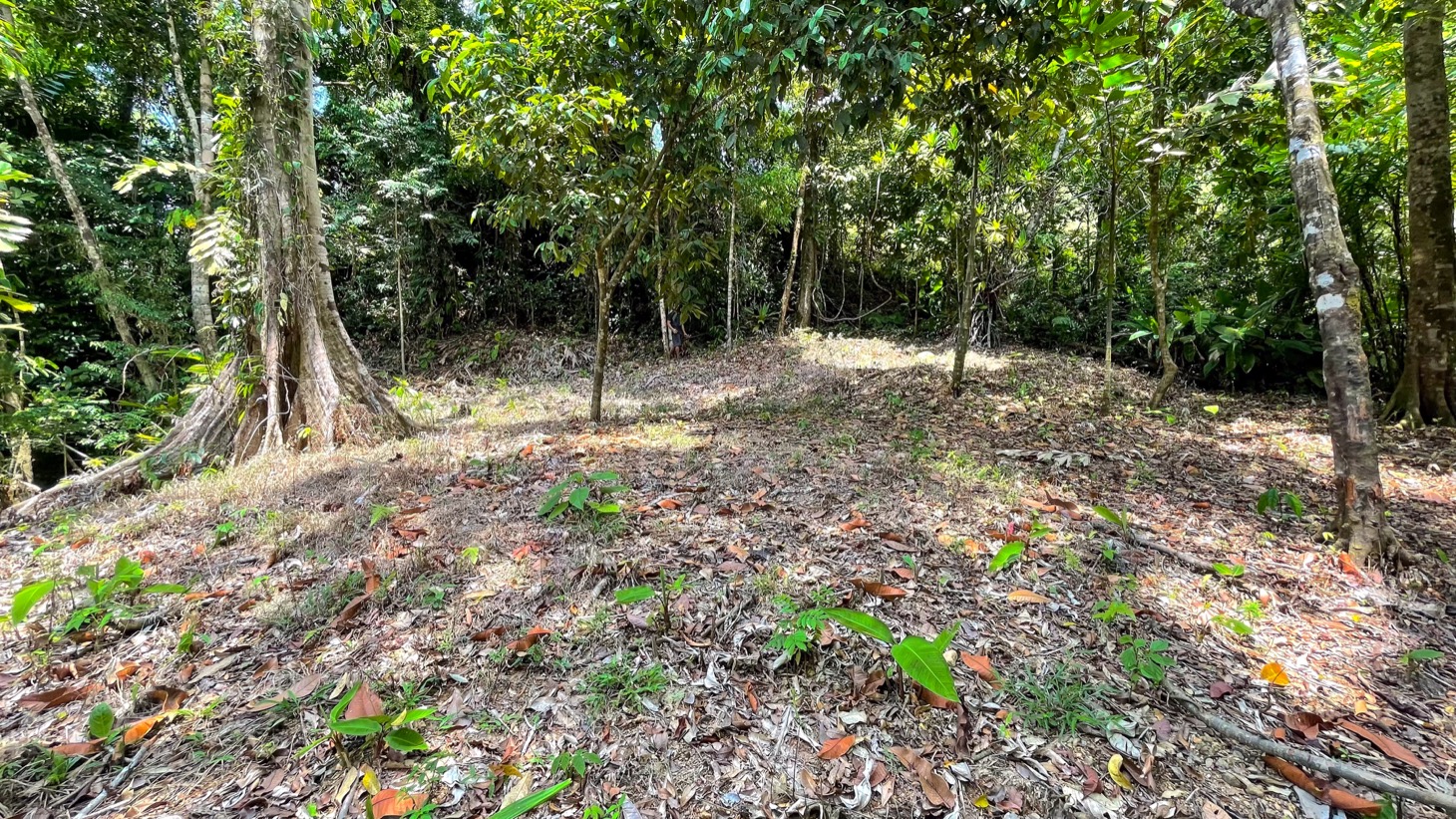 0 bed Land For Sale in Uvita, Puntarenas - thumb 5