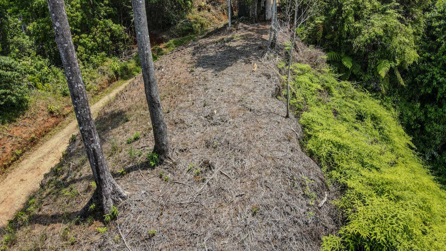 0 bed Land For Sale in Uvita, Puntarenas - thumb 7