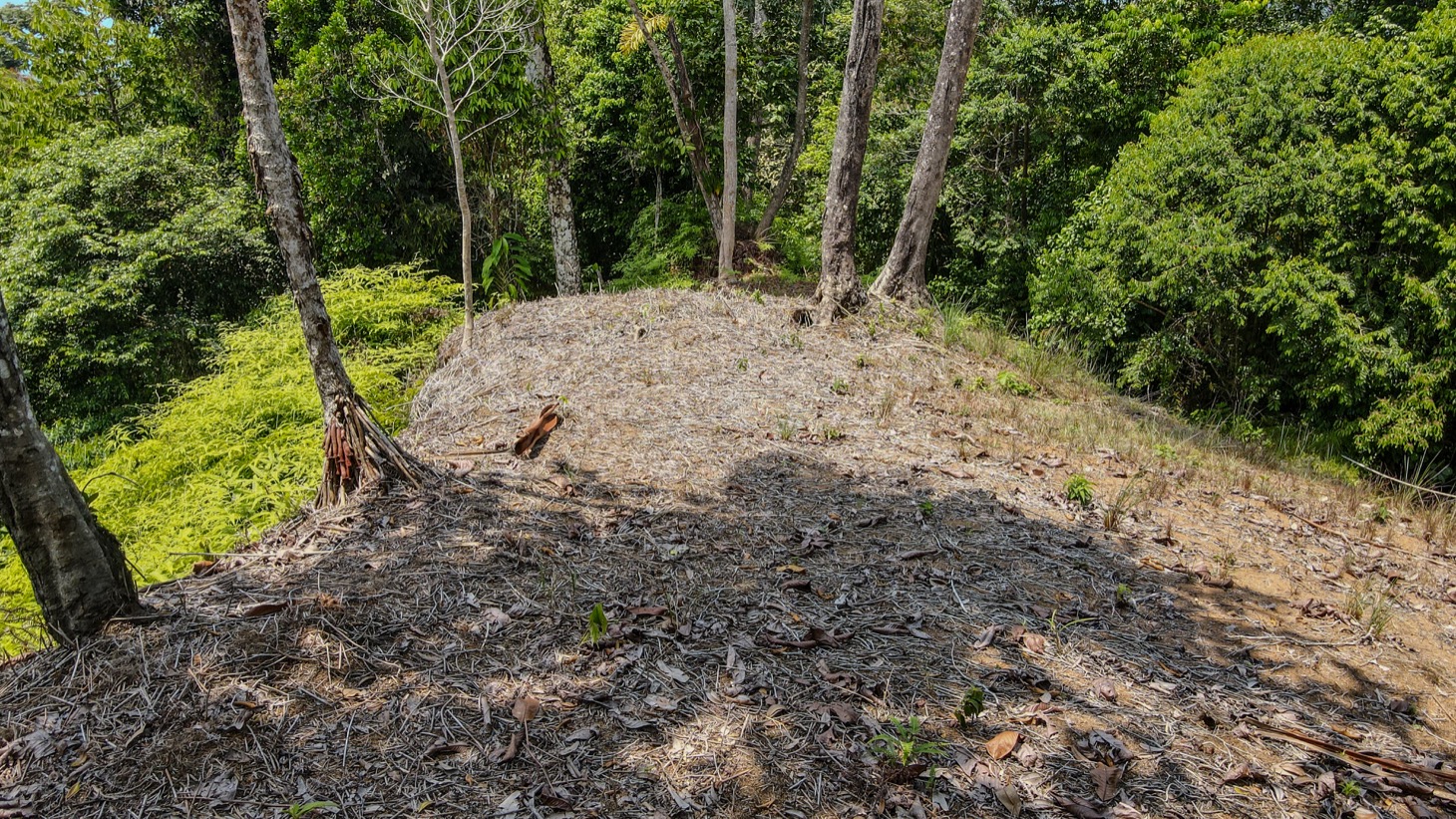 0 bed Land For Sale in Uvita, Puntarenas - thumb 5