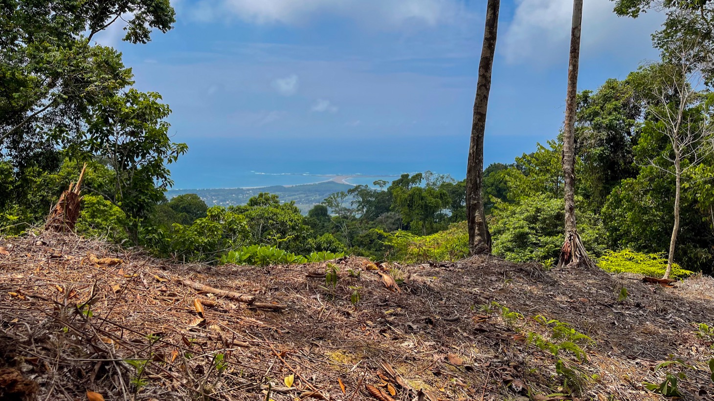 0 bed Land For Sale in Uvita, Puntarenas - thumb 3