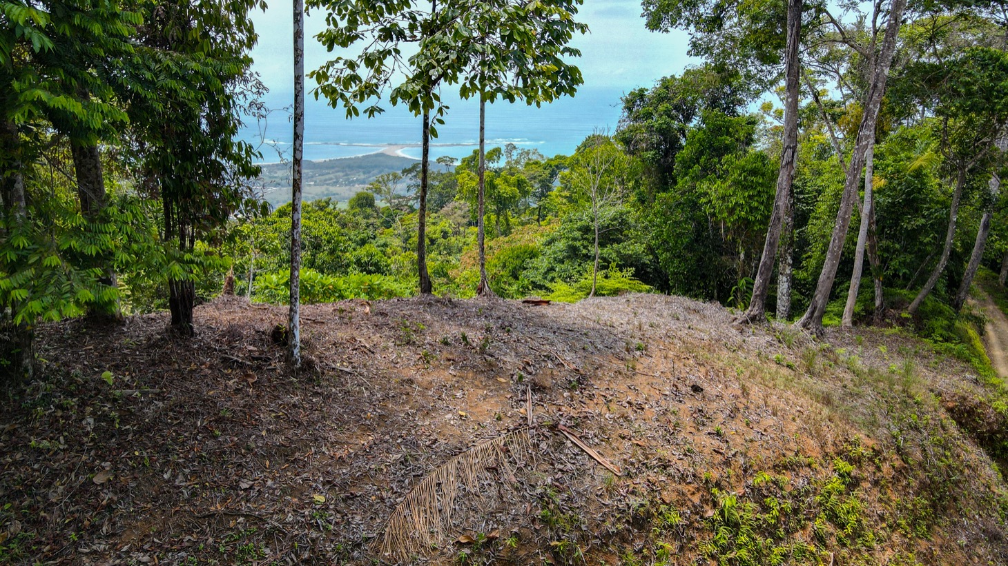 0 bed Land For Sale in Uvita, Puntarenas - thumb 1