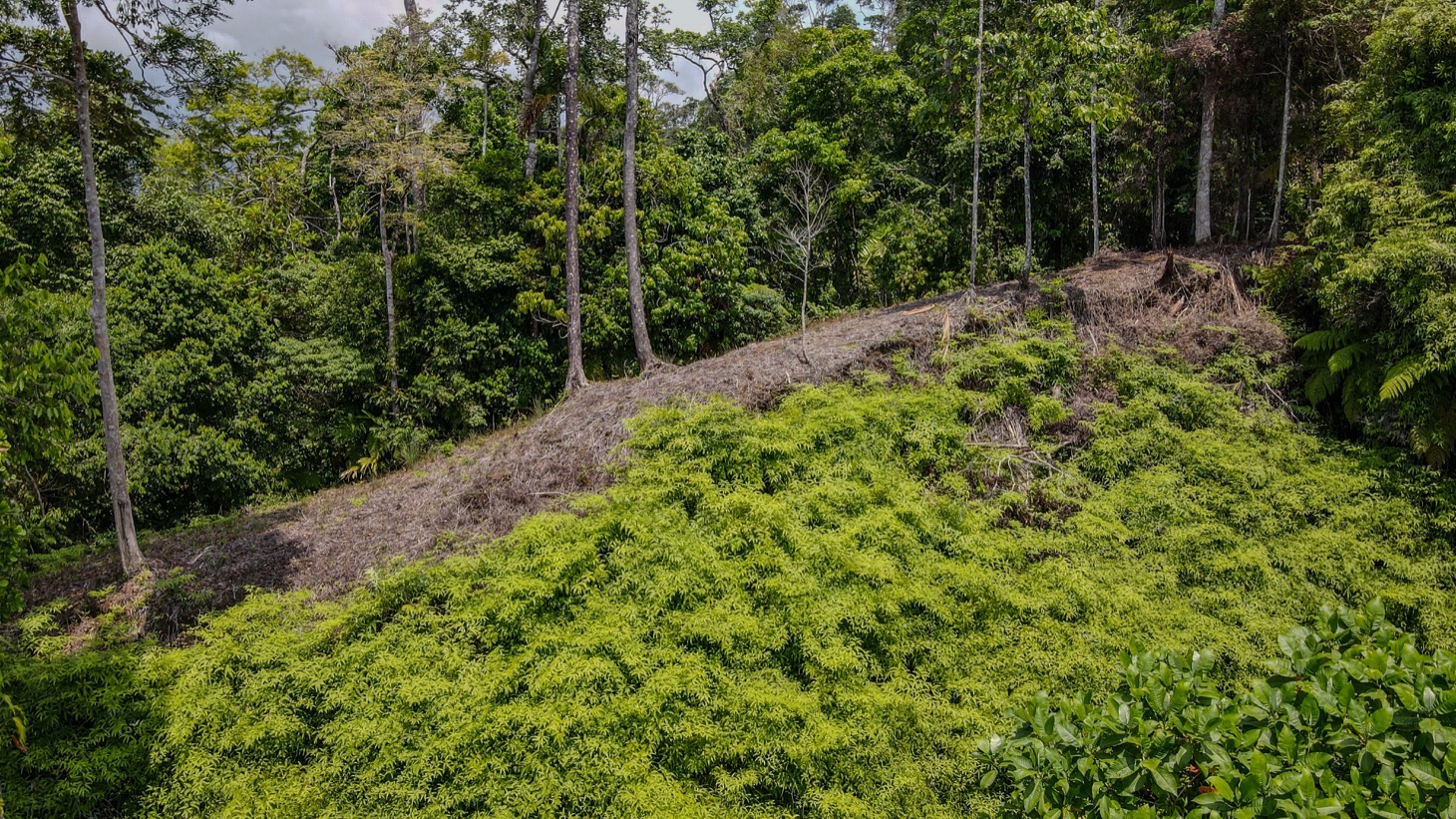 0 bed Land For Sale in Uvita, Puntarenas - thumb 9