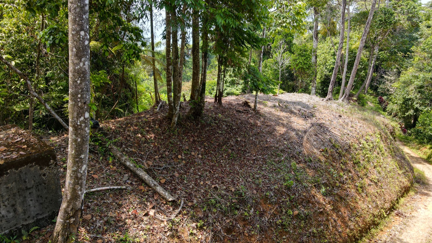 0 bed Land For Sale in Uvita, Puntarenas - thumb 4
