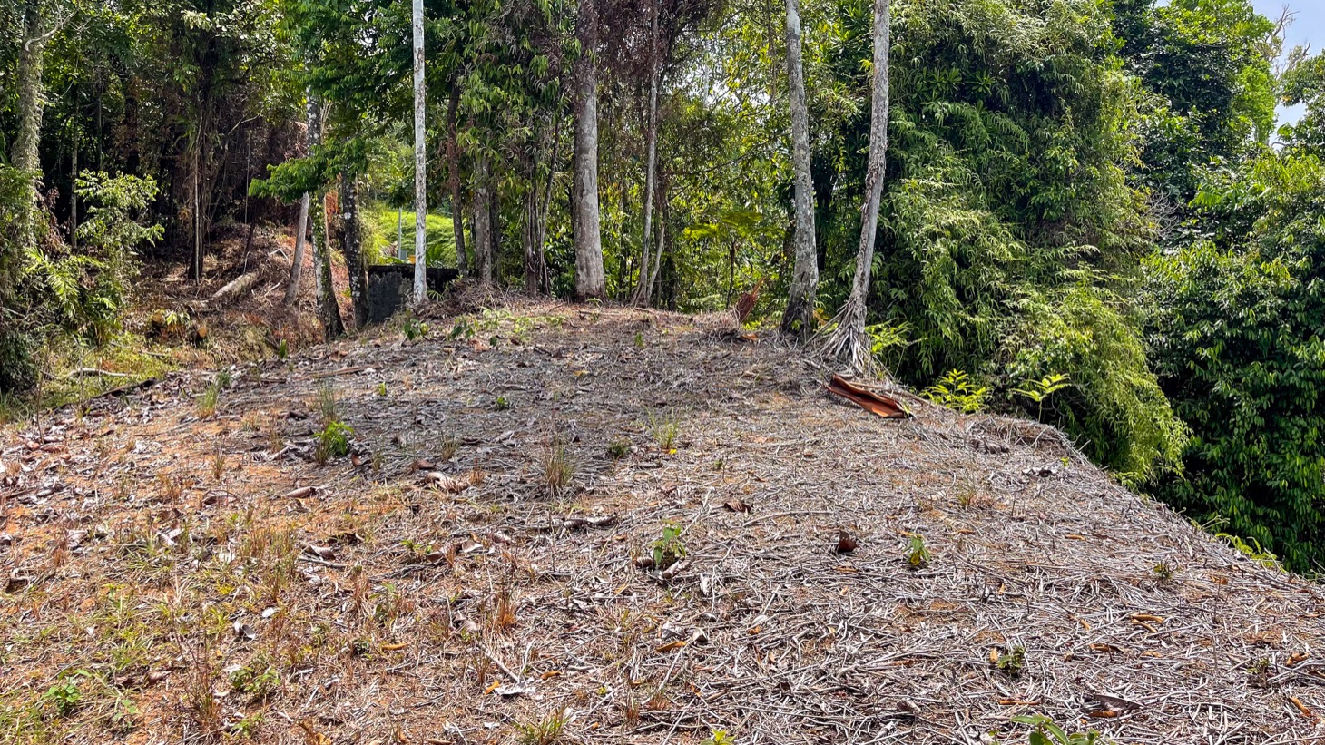 0 bed Land For Sale in Uvita, Puntarenas - thumb 8