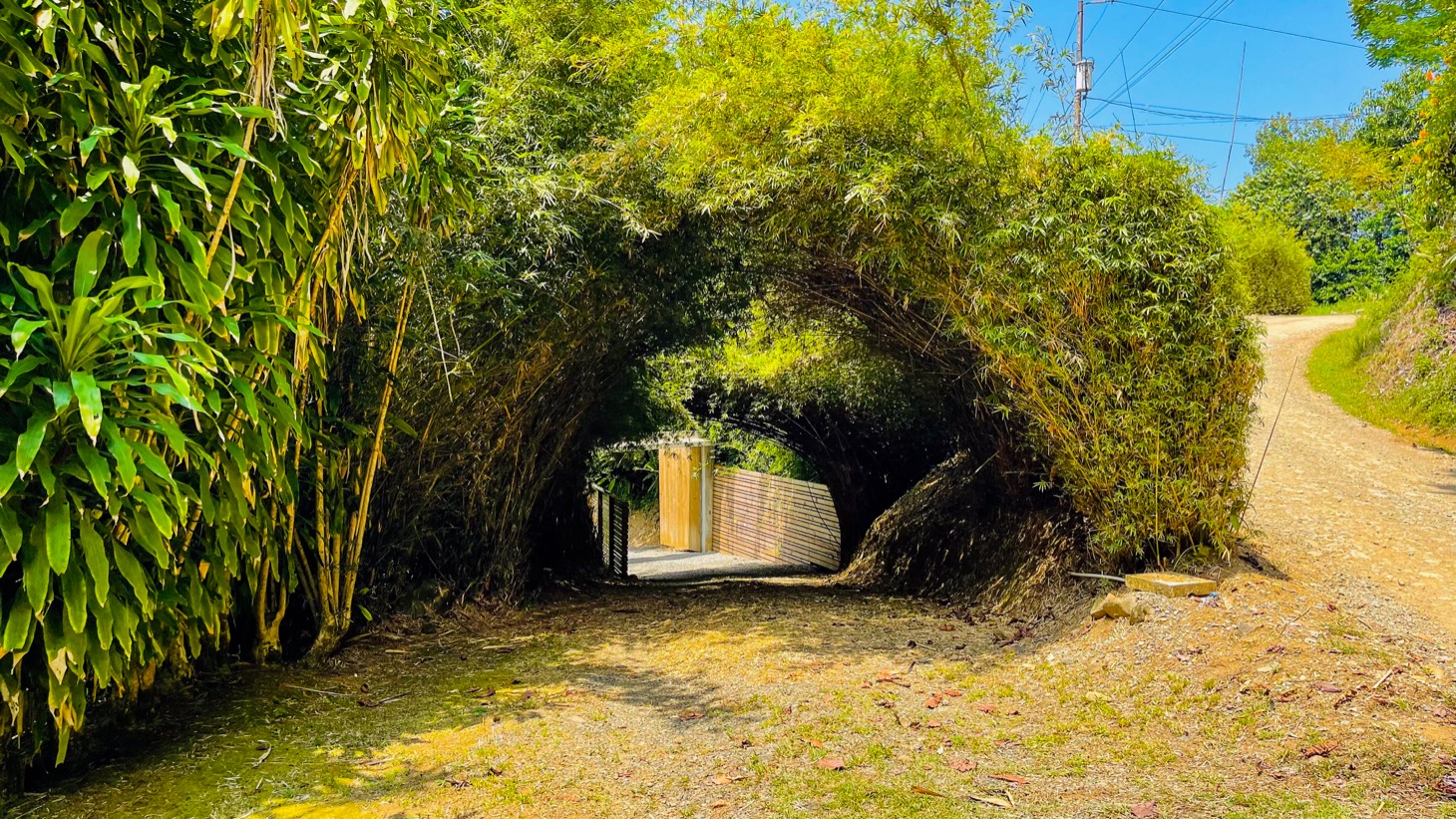 4 bed Single Family Homes For Sale in Uvita, Puntarenas - thumb 30