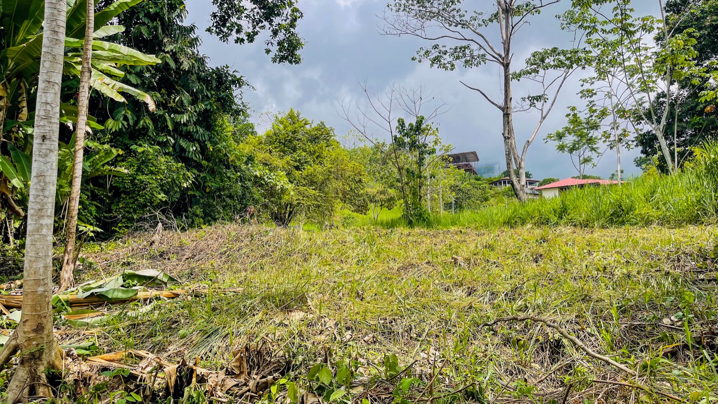 0 bed Land For Sale in Ojochal, Puntarenas - thumb 3