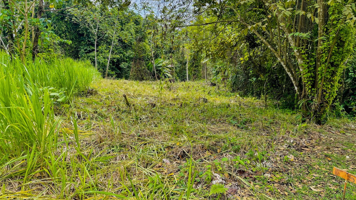 0 bed Land For Sale in Ojochal, Puntarenas - thumb 1