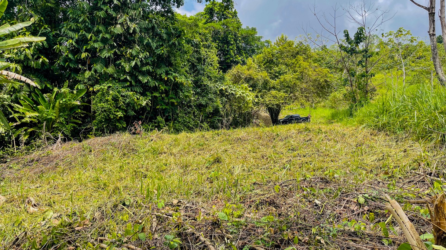 0 bed Land For Sale in Ojochal, Puntarenas - thumb 14