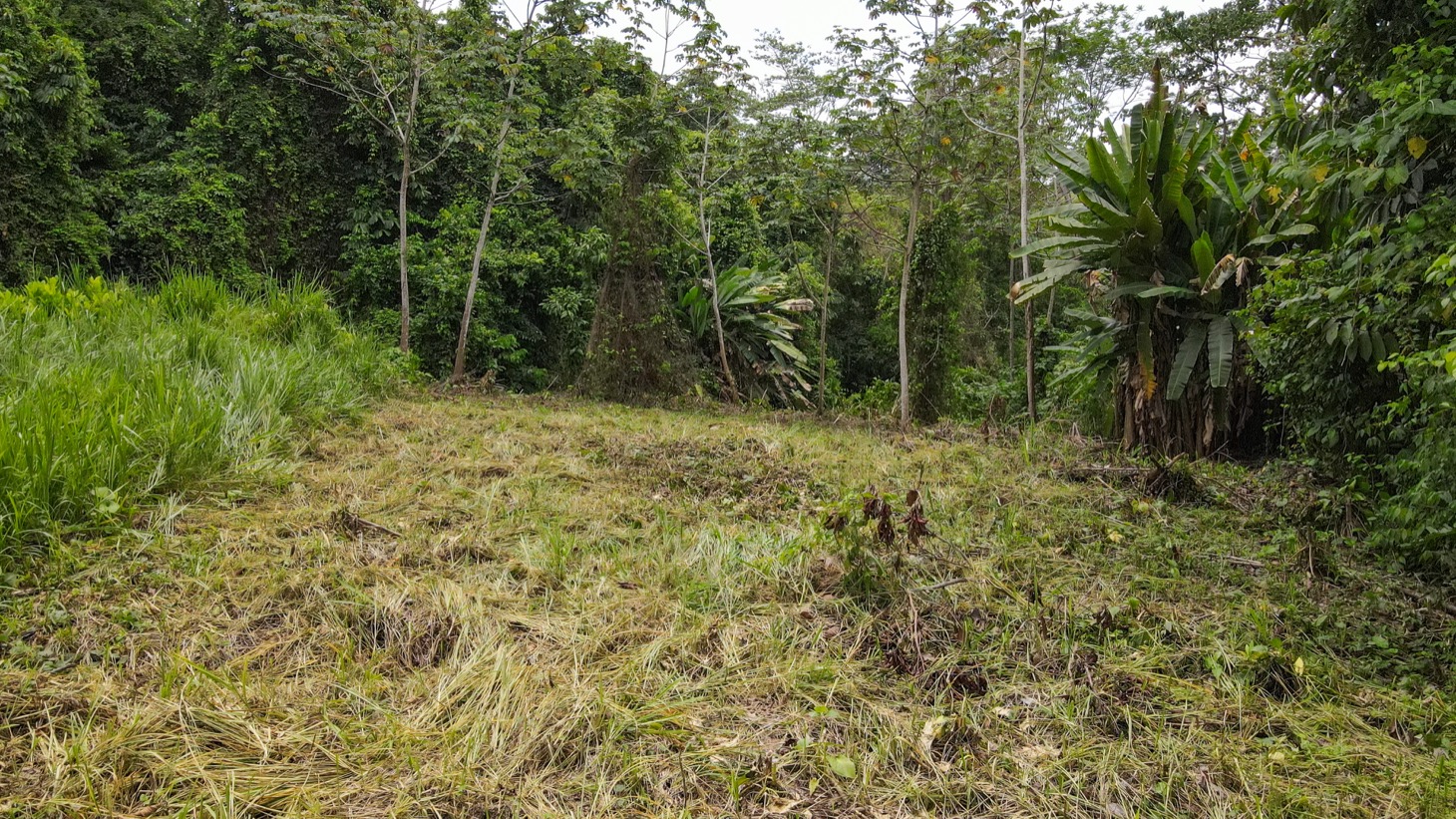 0 bed Land For Sale in Ojochal, Puntarenas - thumb 6