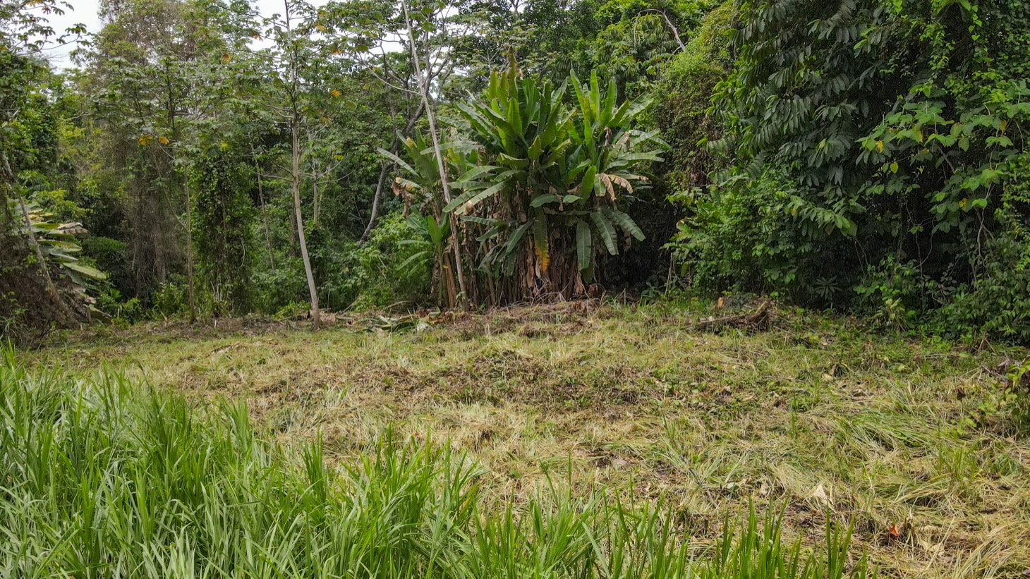 0 bed Land For Sale in Ojochal, Puntarenas - thumb 8