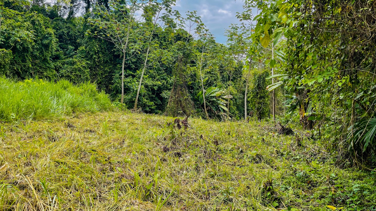 0 bed Land For Sale in Ojochal, Puntarenas - thumb 10