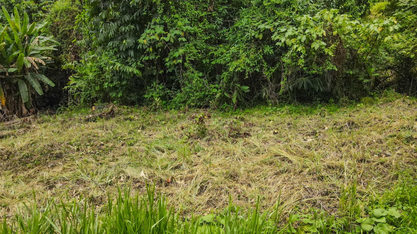 0 bed Land For Sale in Ojochal, Puntarenas - thumb 9