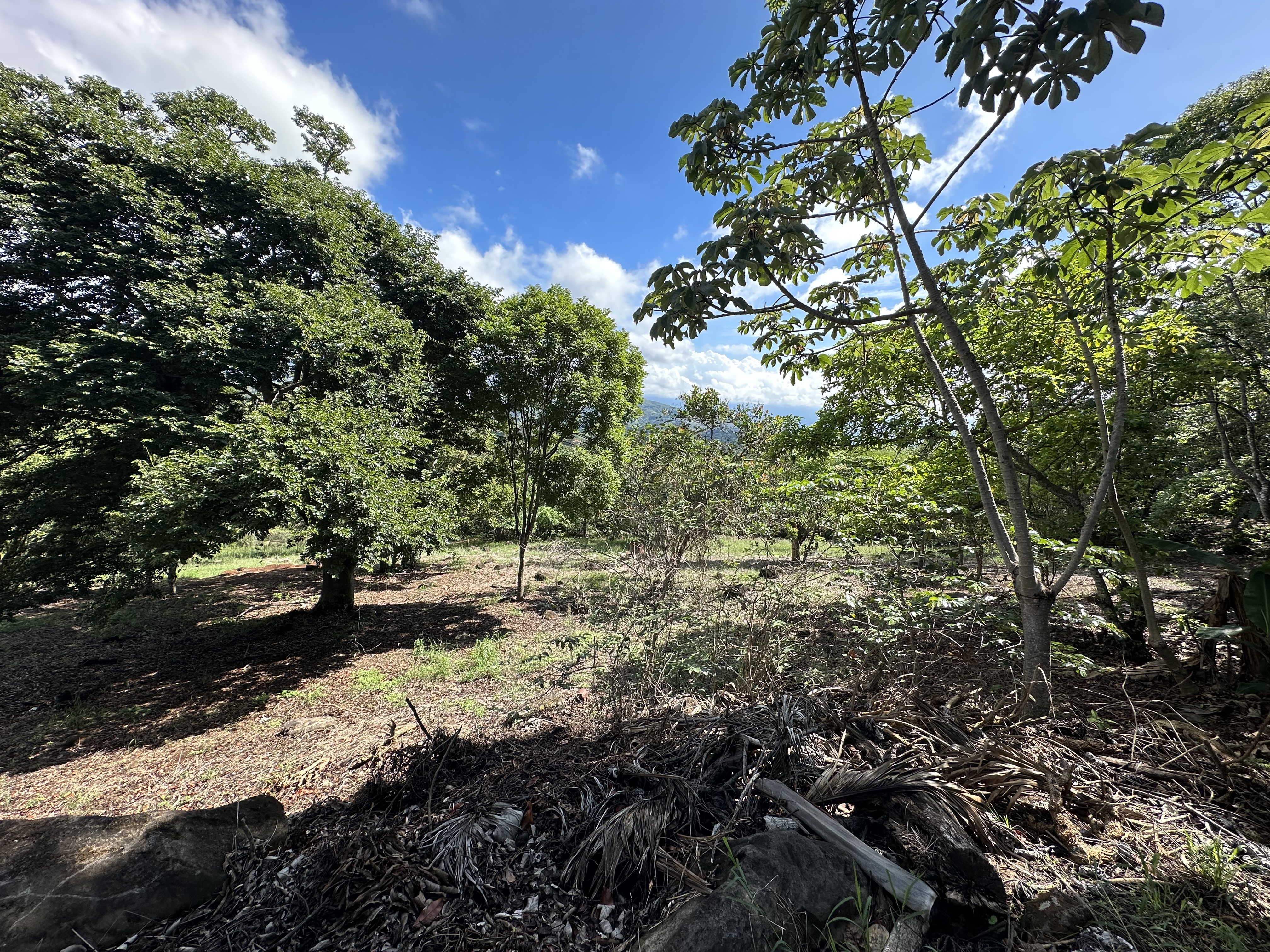 0 bed Land For Sale in Atenas, Alajuela - thumb 15