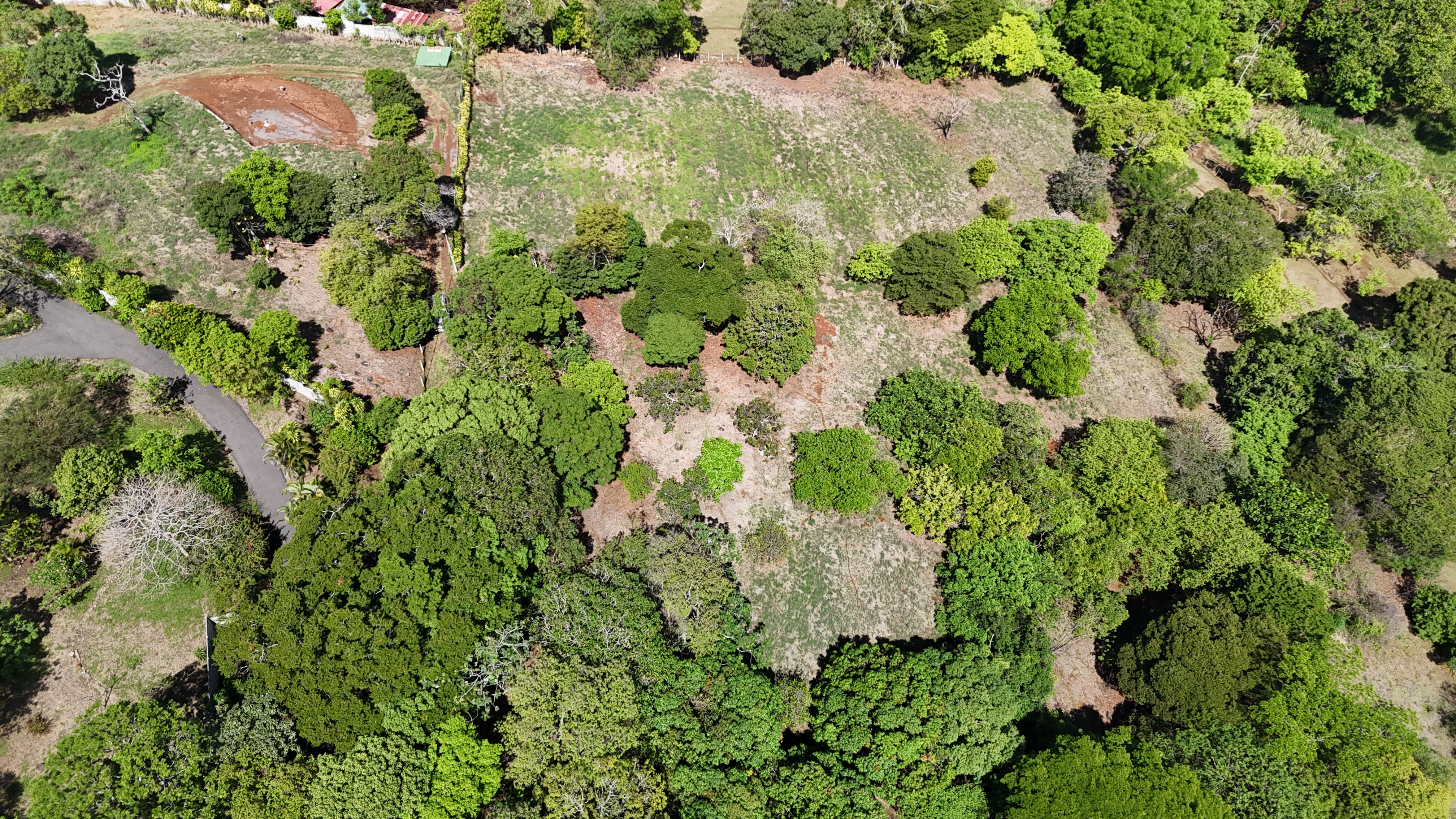 0 bed Land For Sale in Atenas, Alajuela - thumb 6