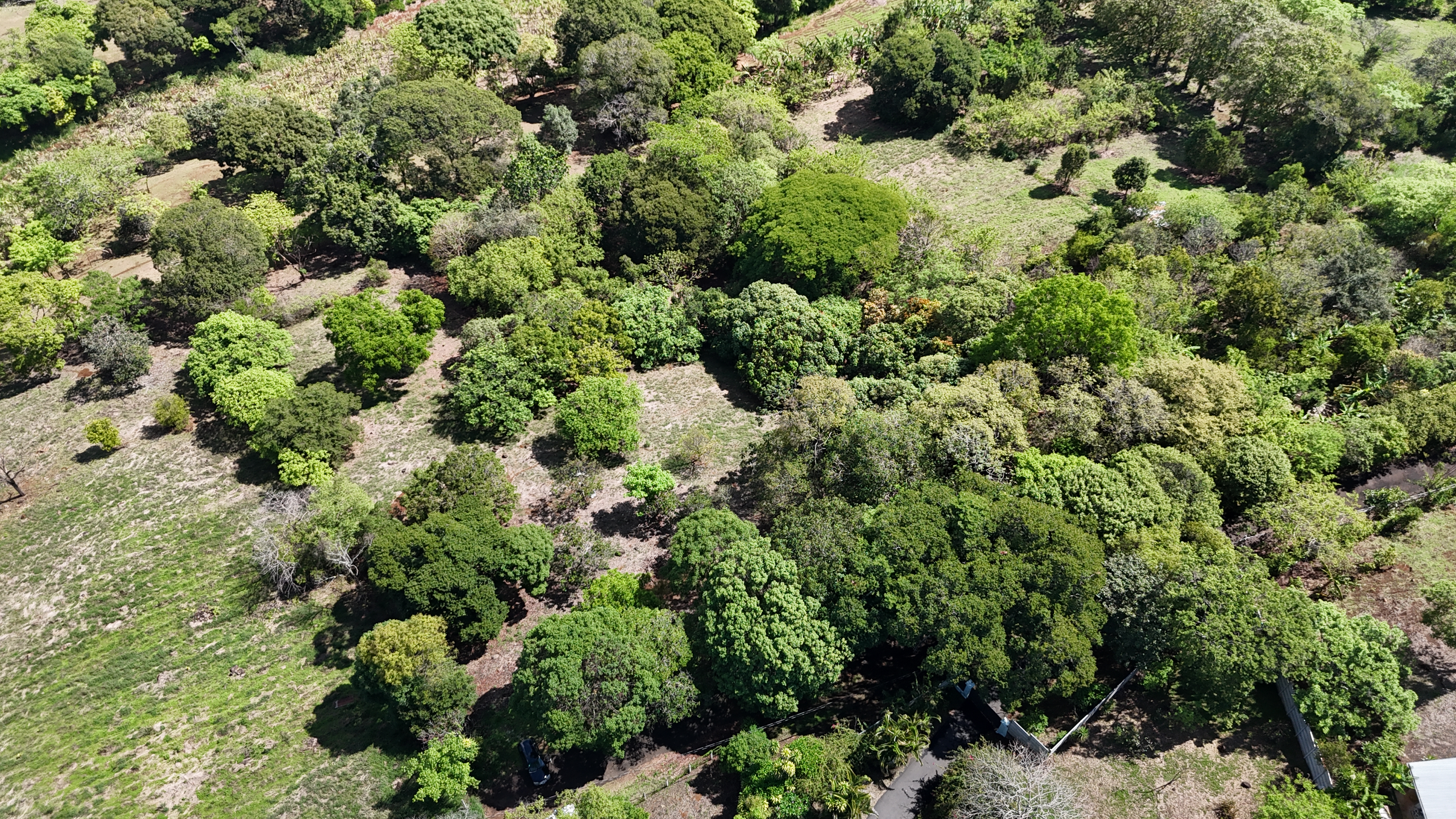 0 bed Land For Sale in Atenas, Alajuela - thumb 4