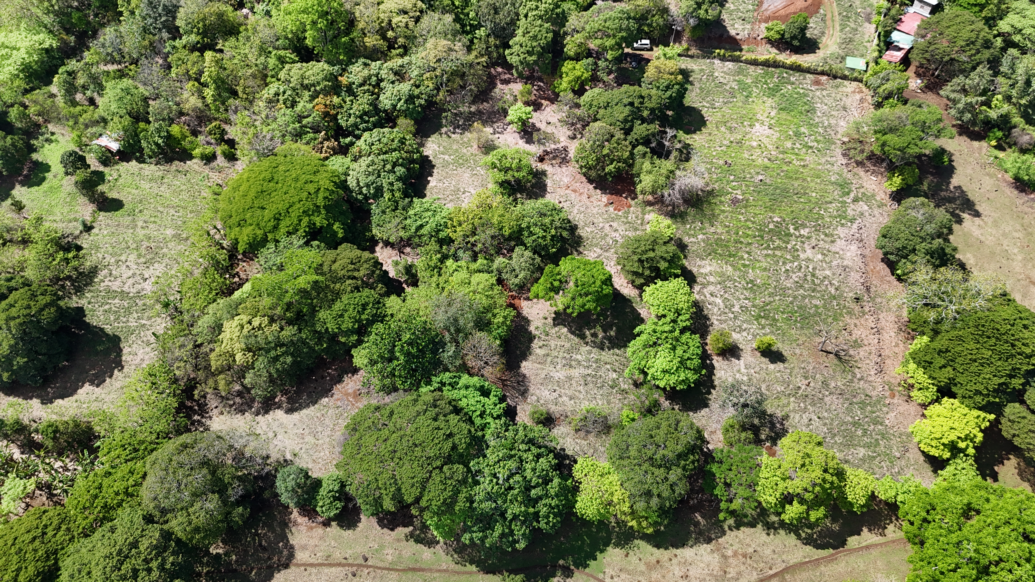 0 bed Land For Sale in Atenas, Alajuela - thumb 5