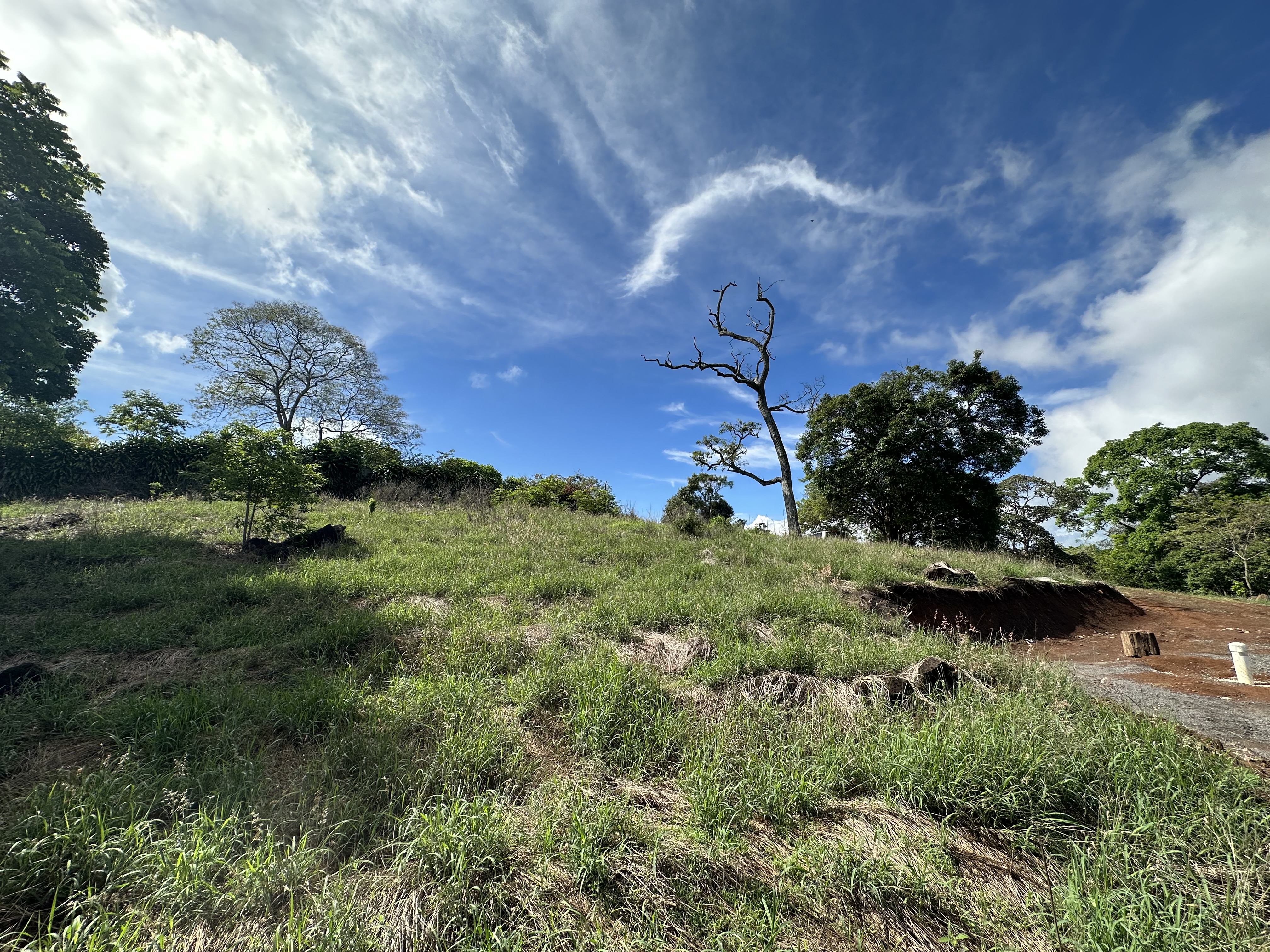 0 bed Land For Sale in Atenas, Alajuela - thumb 10