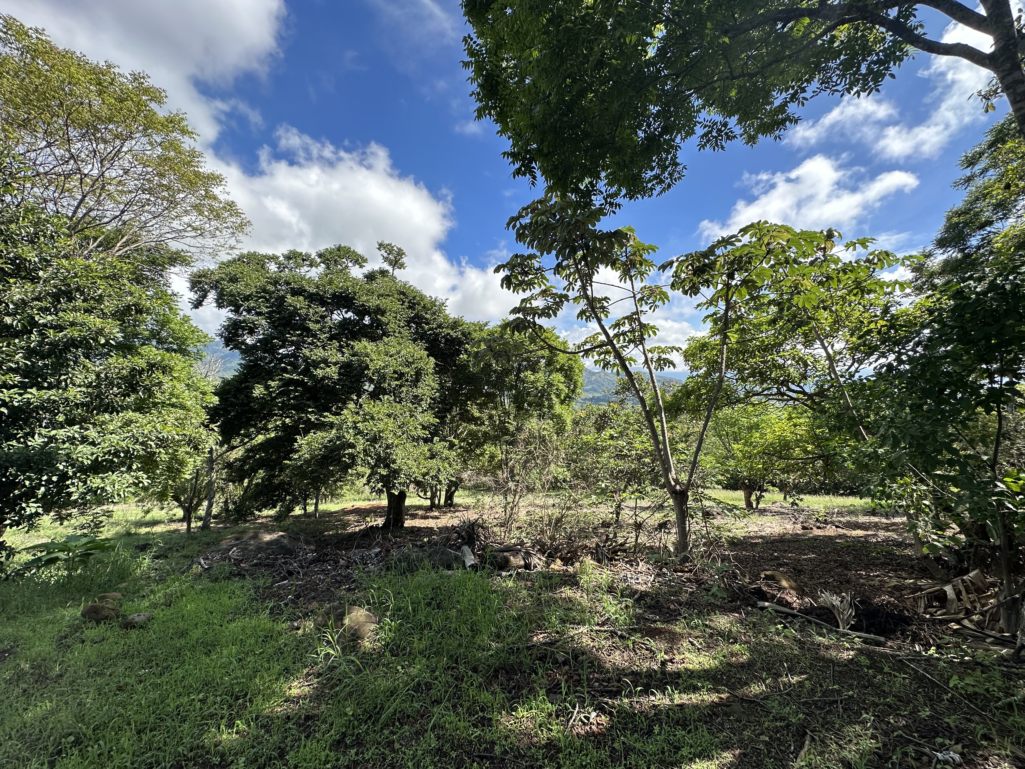 0 bed Land For Sale in Atenas, Alajuela - thumb 13